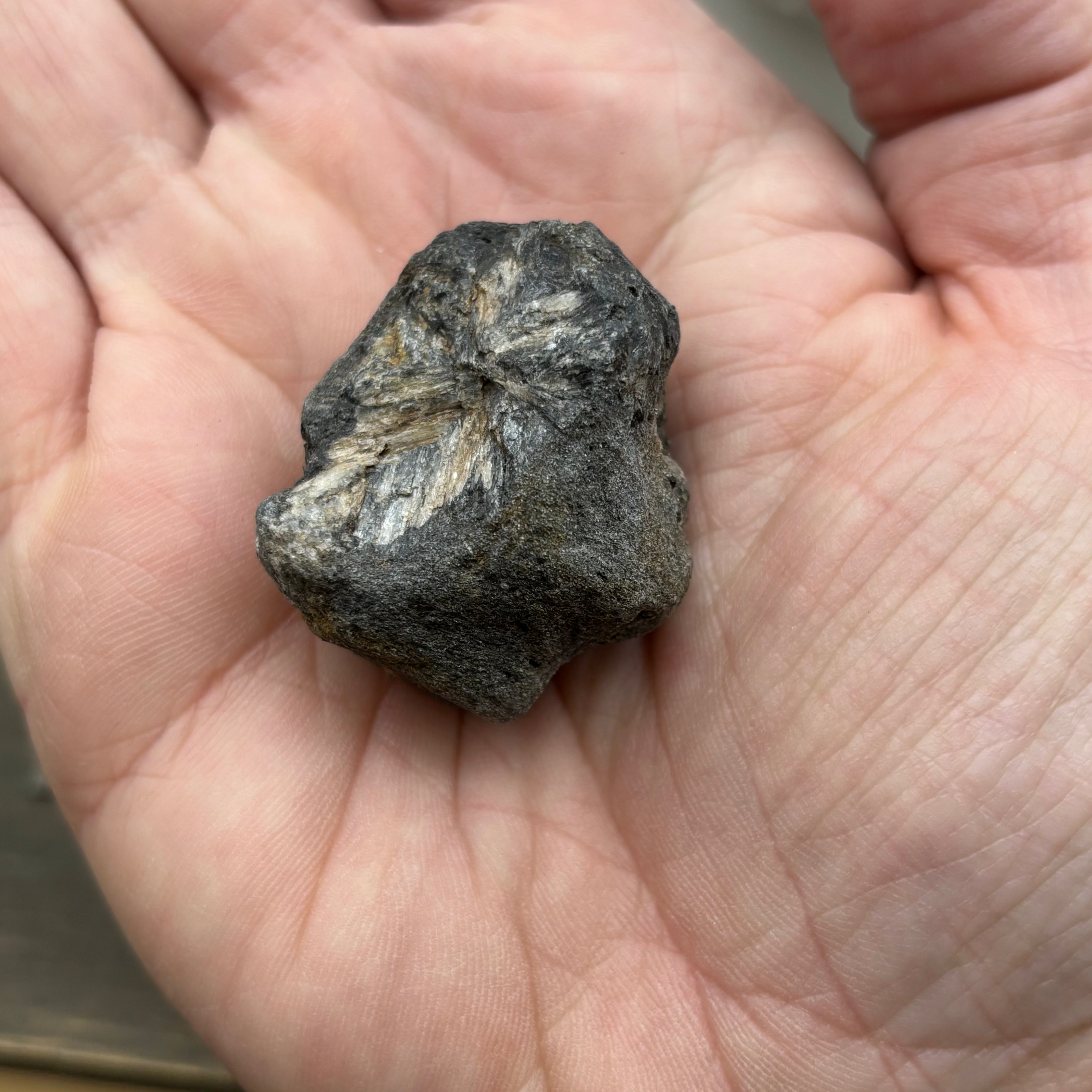 Siberian Chiastolite - 038