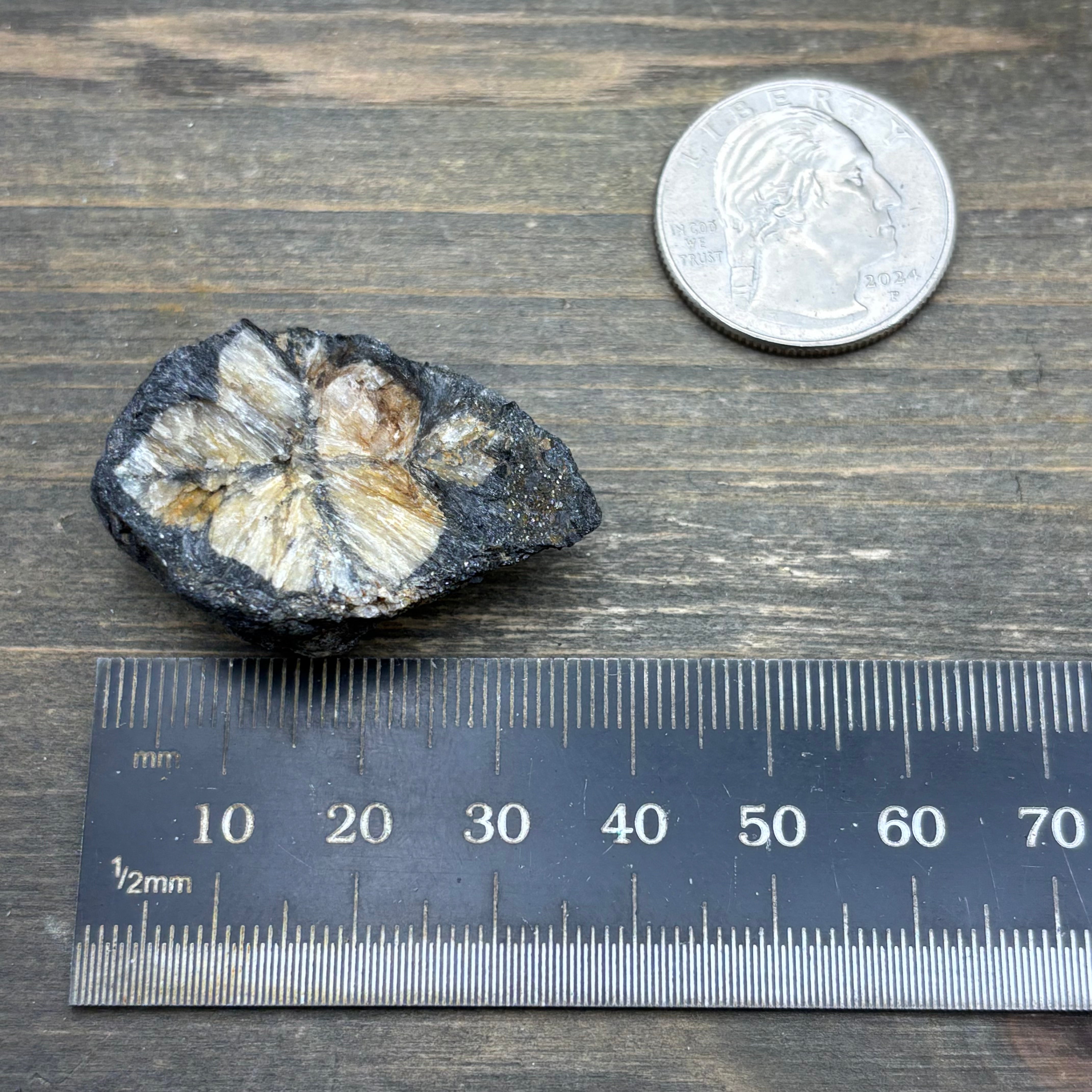 Siberian Chiastolite - 039