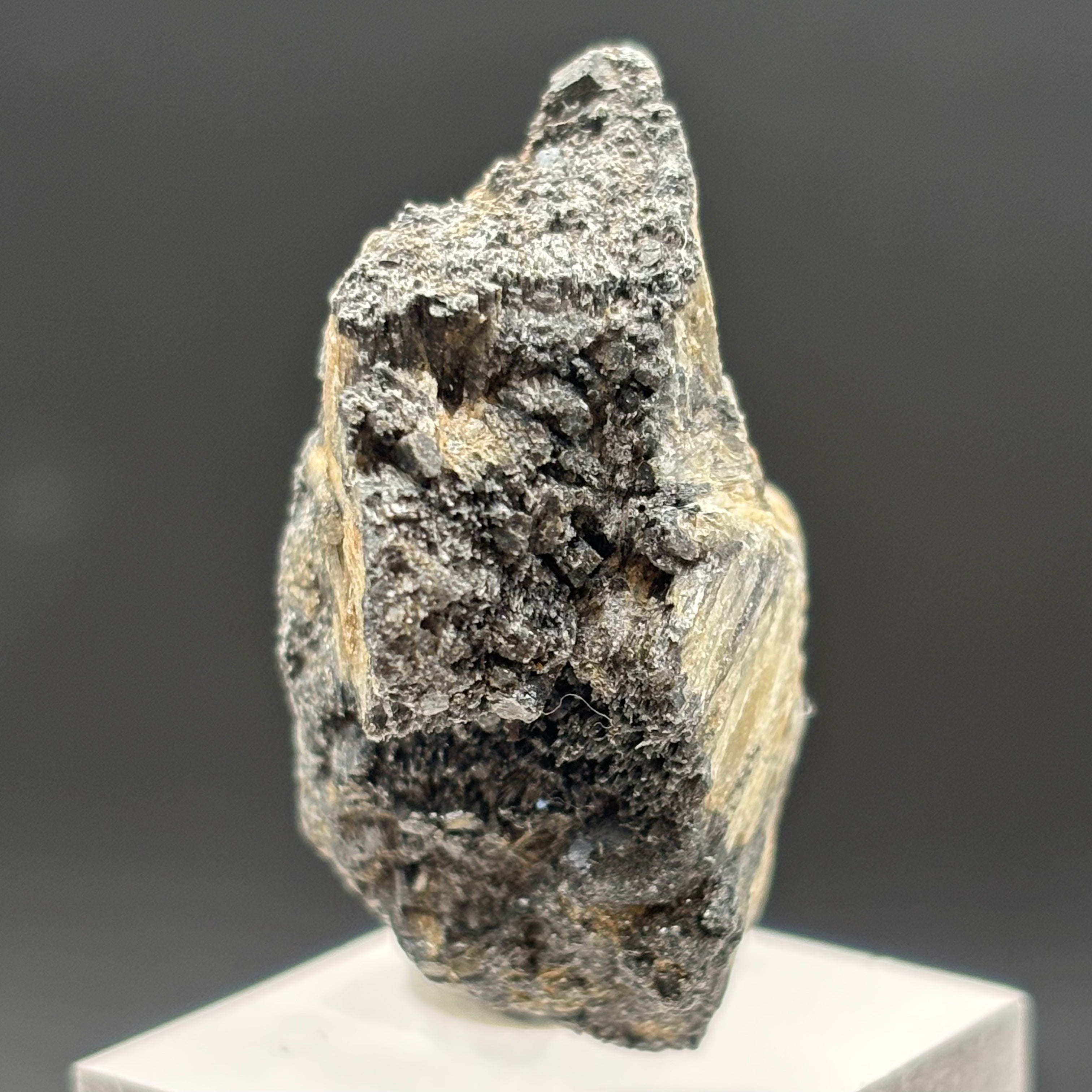 Siberian Chiastolite - 040