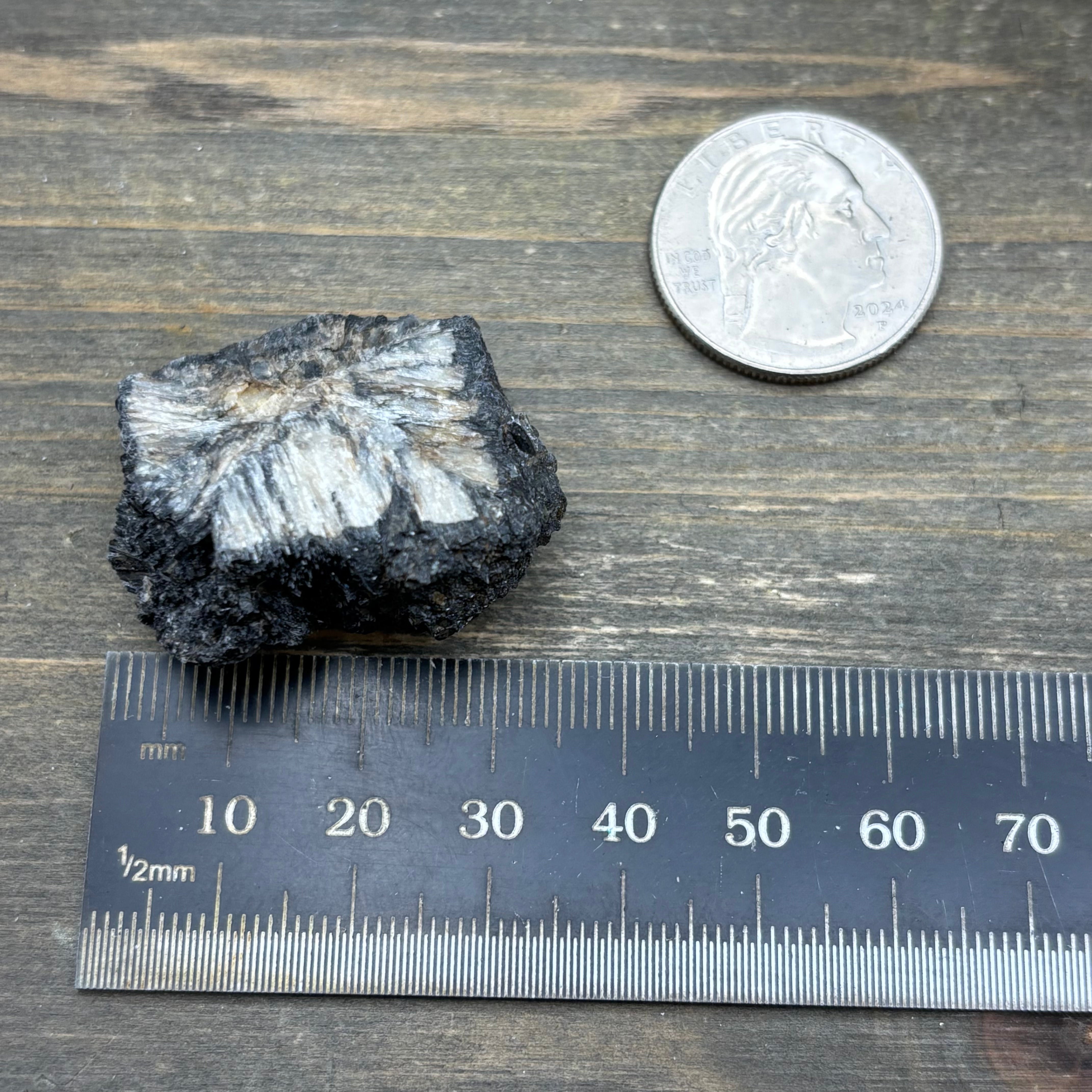 Siberian Chiastolite - 040