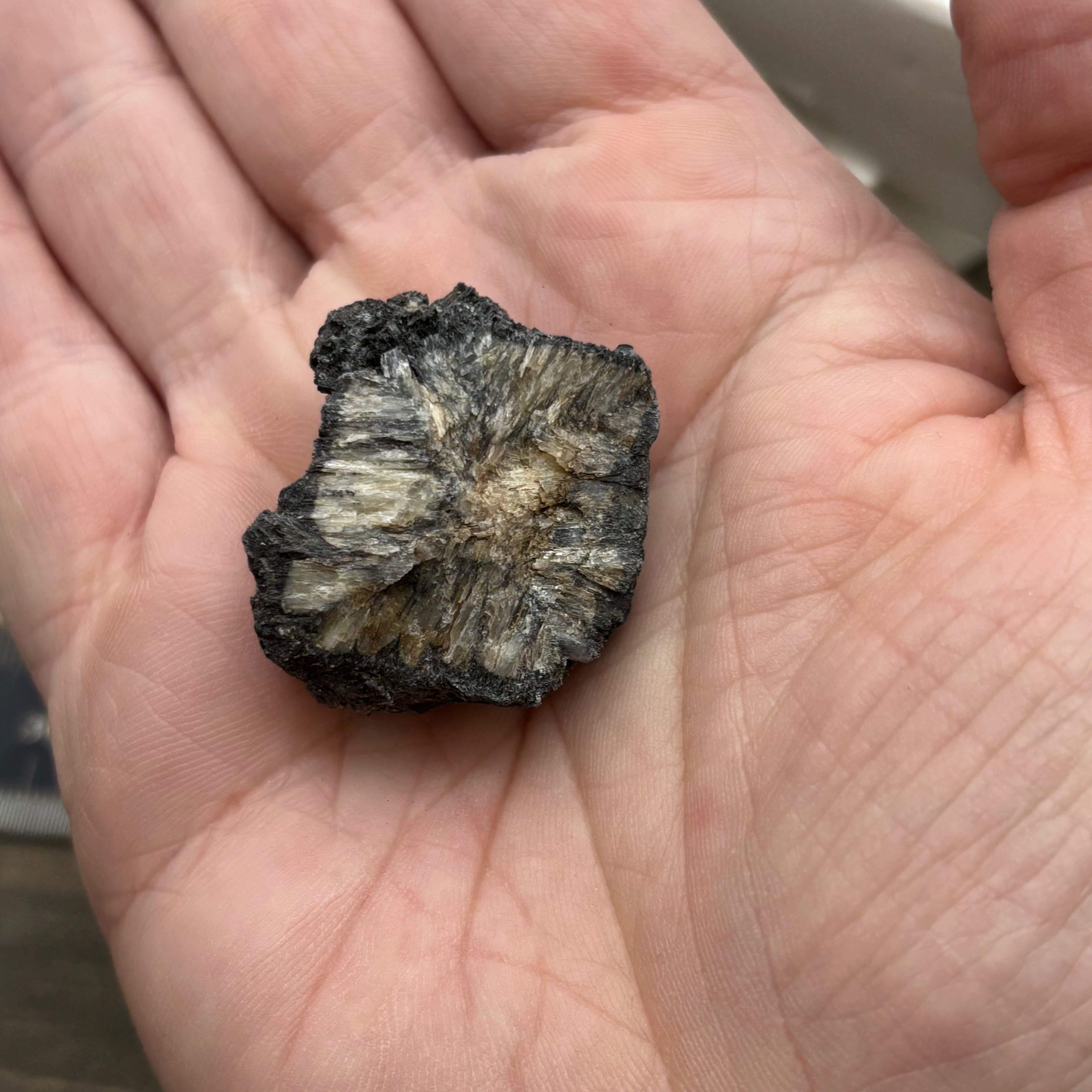 Siberian Chiastolite - 040