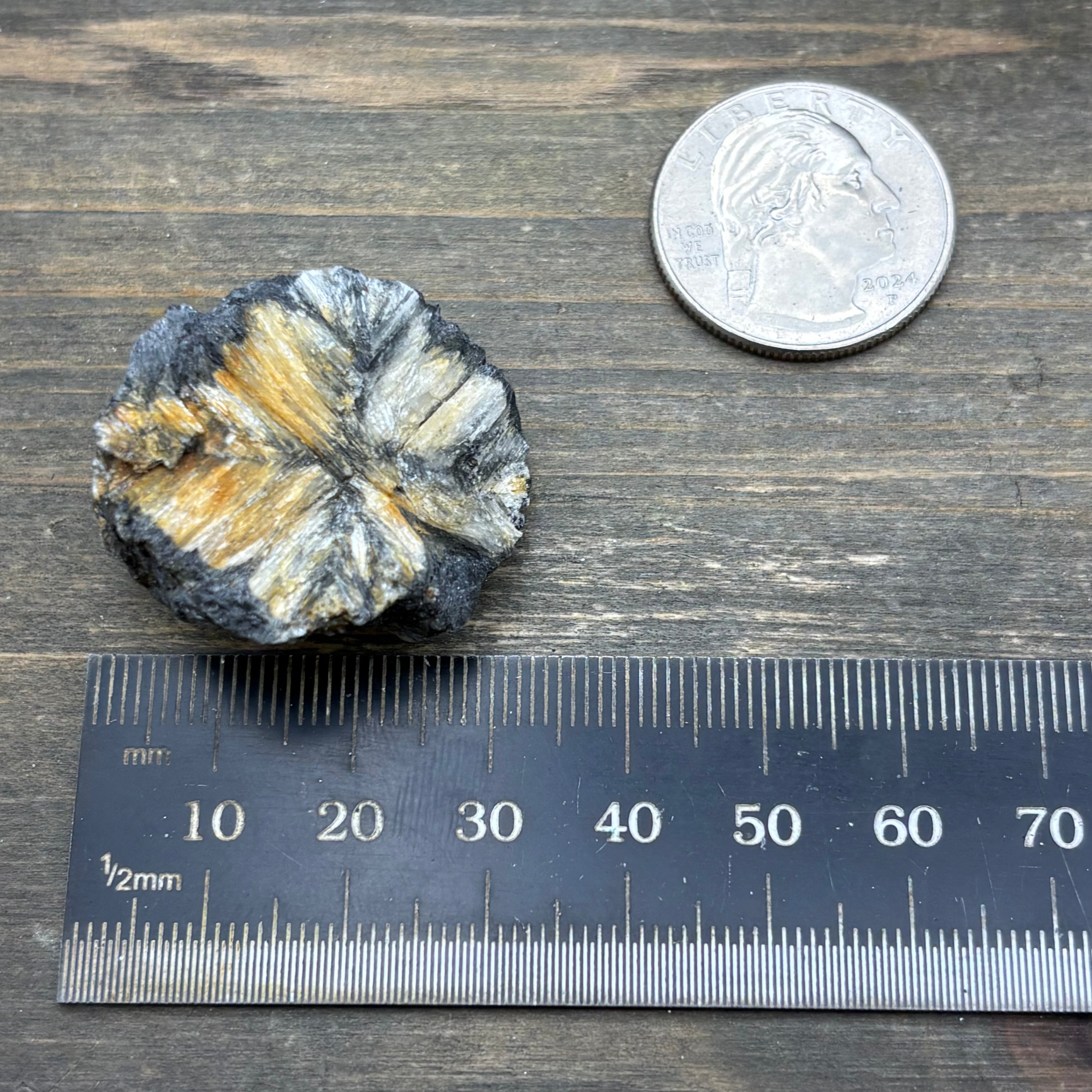 Siberian Chiastolite - 041