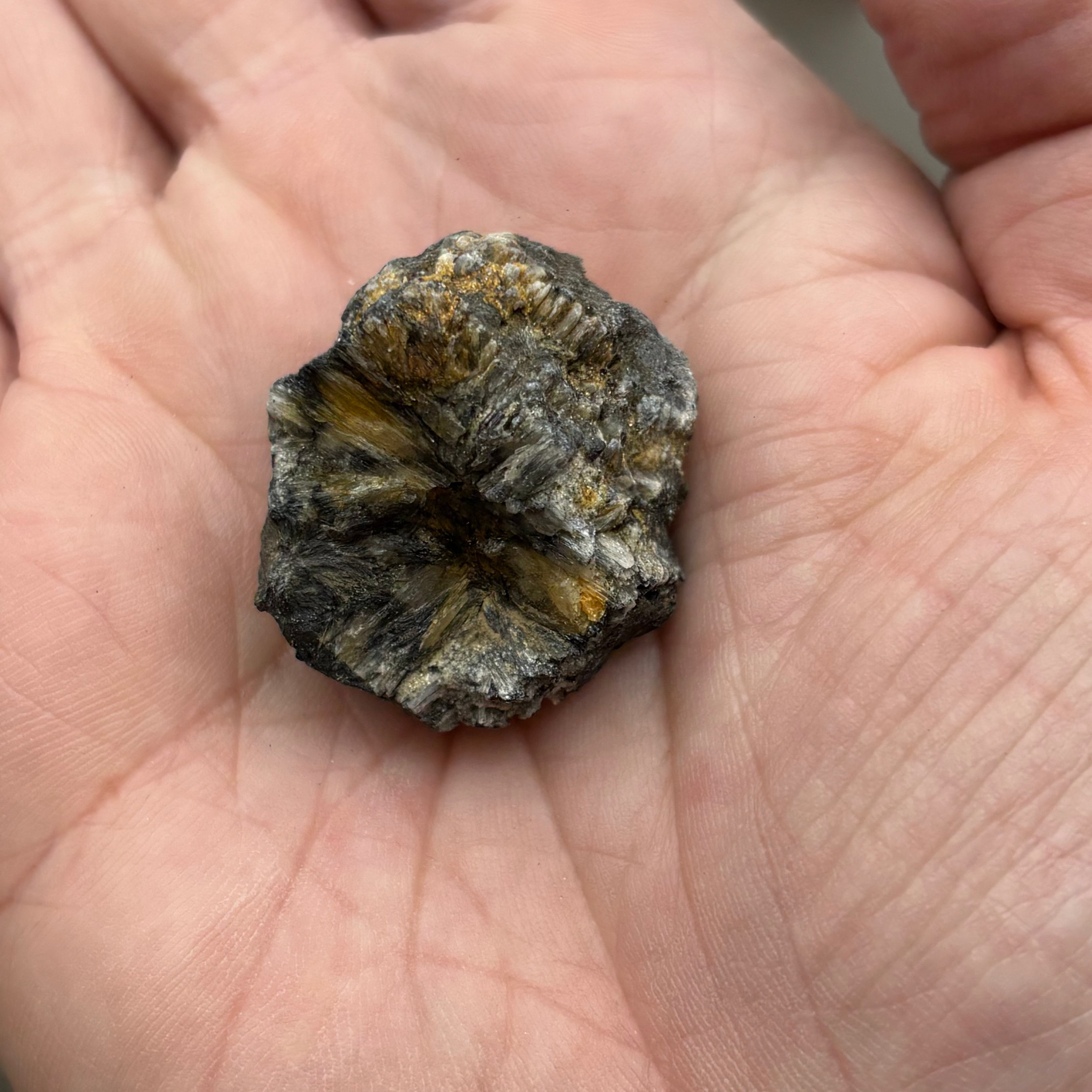 Siberian Chiastolite - 041