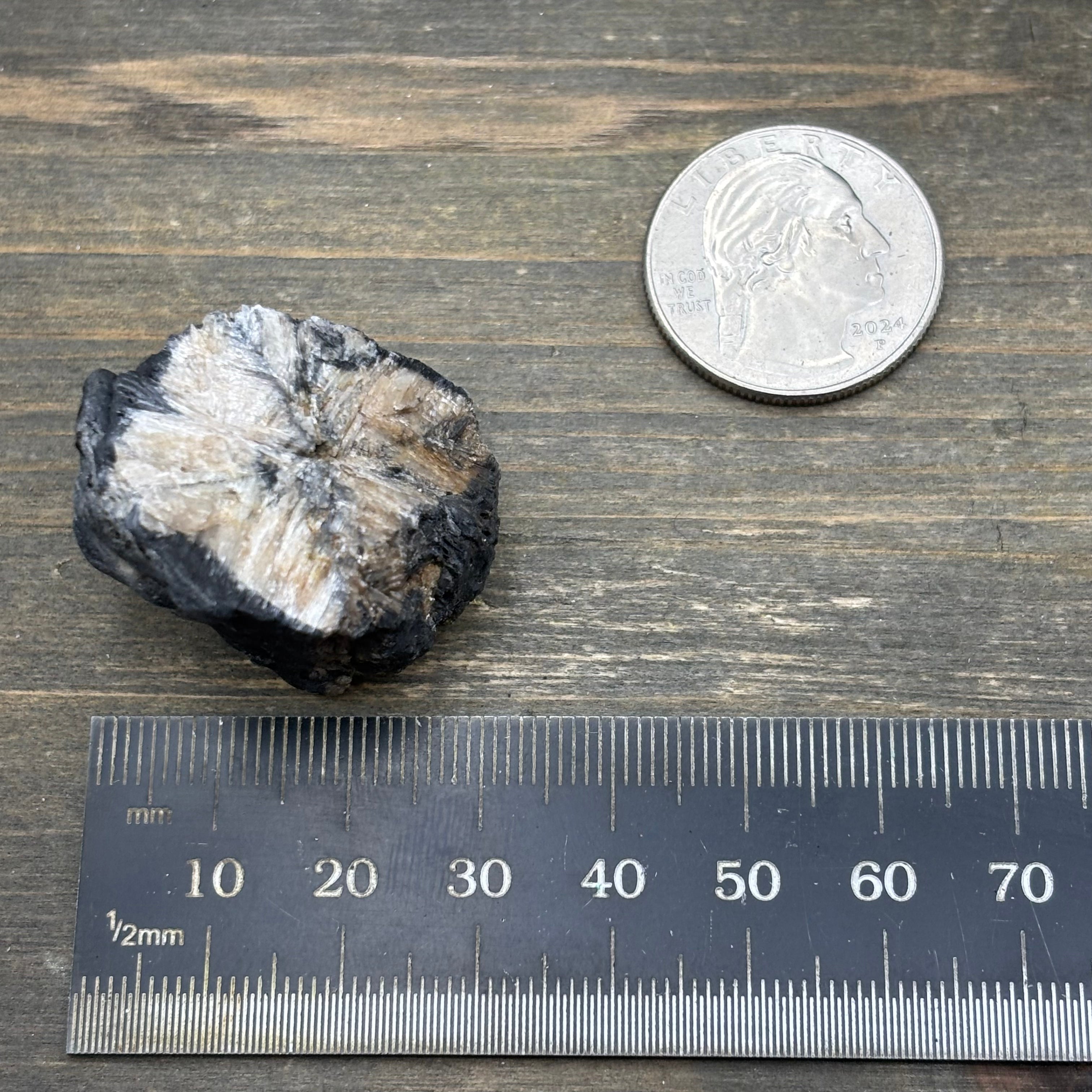 Siberian Chiastolite - 042