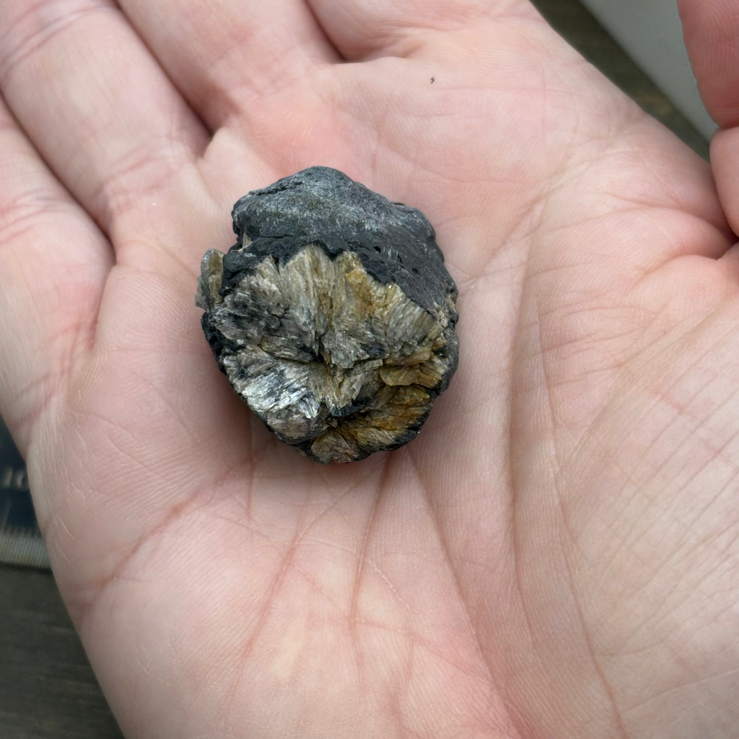 Siberian Chiastolite - 042