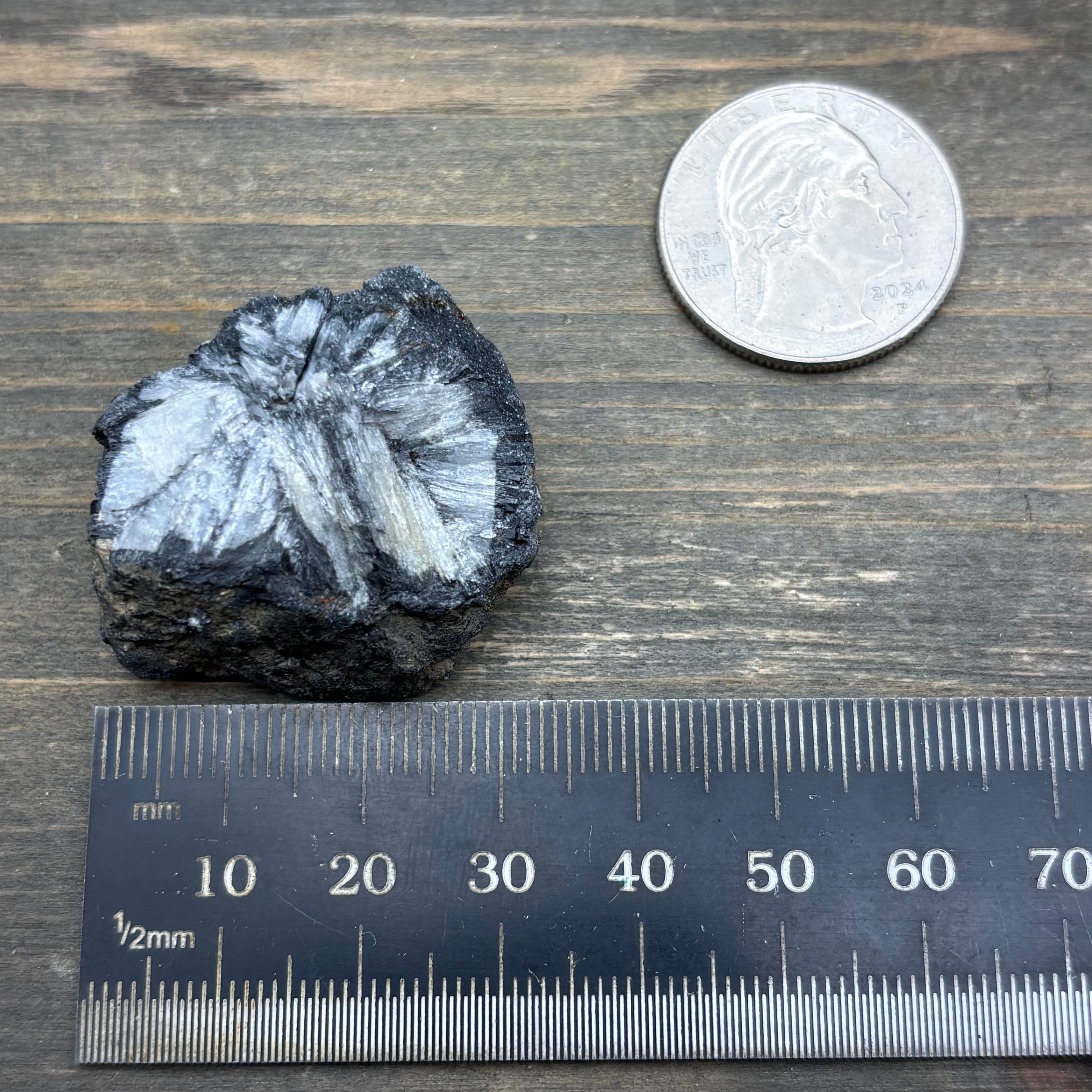 Siberian Chiastolite - 043