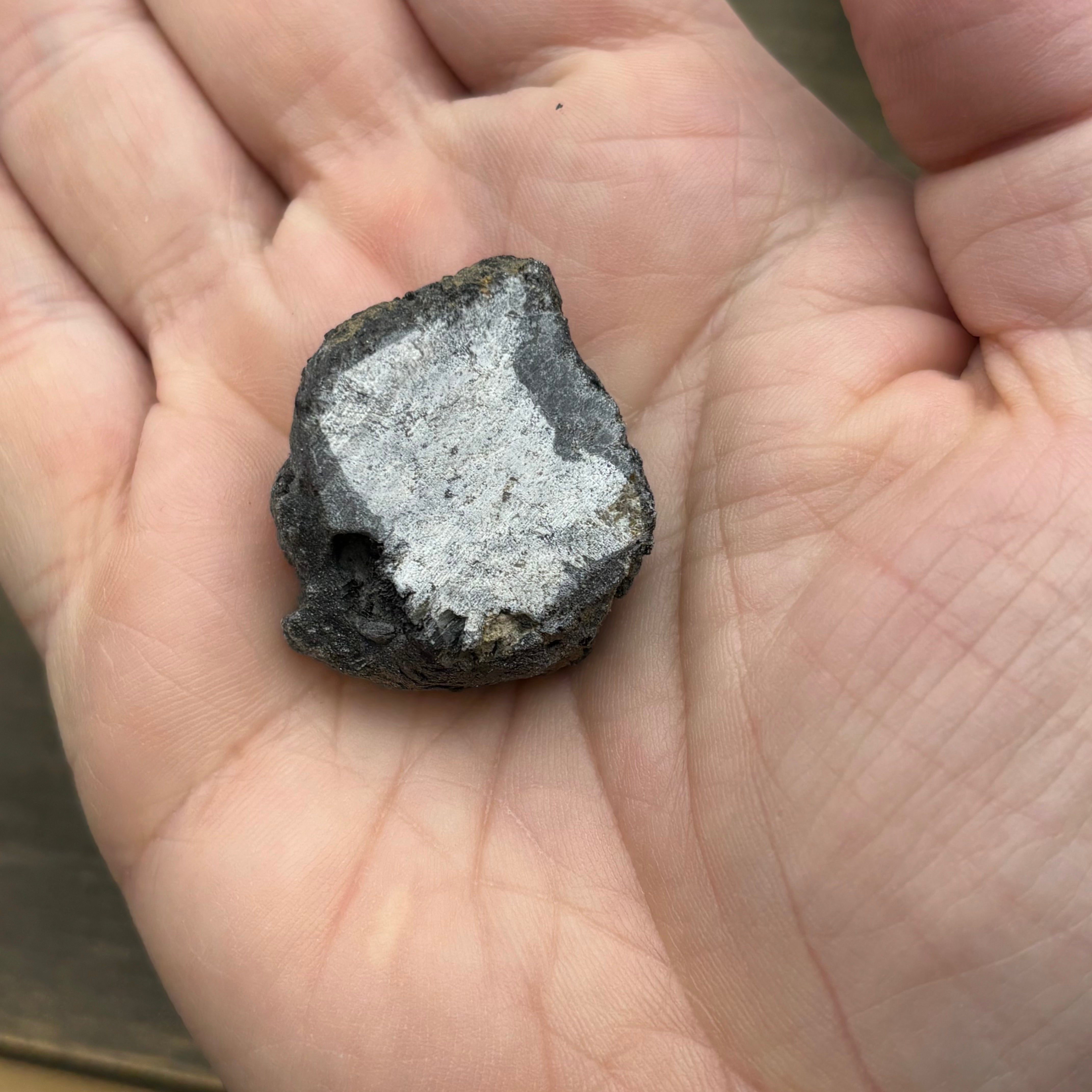 Siberian Chiastolite - 043