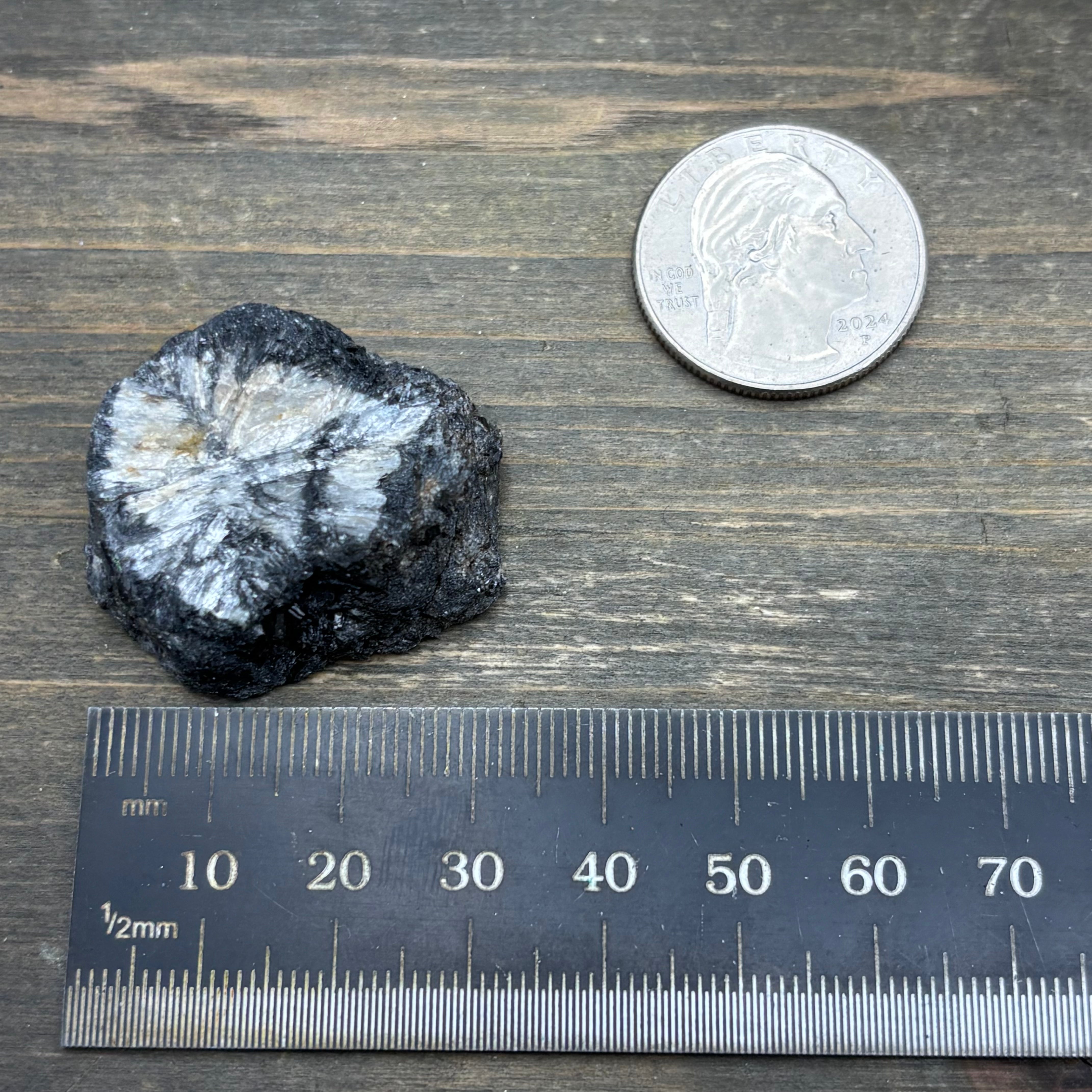 Siberian Chiastolite - 044