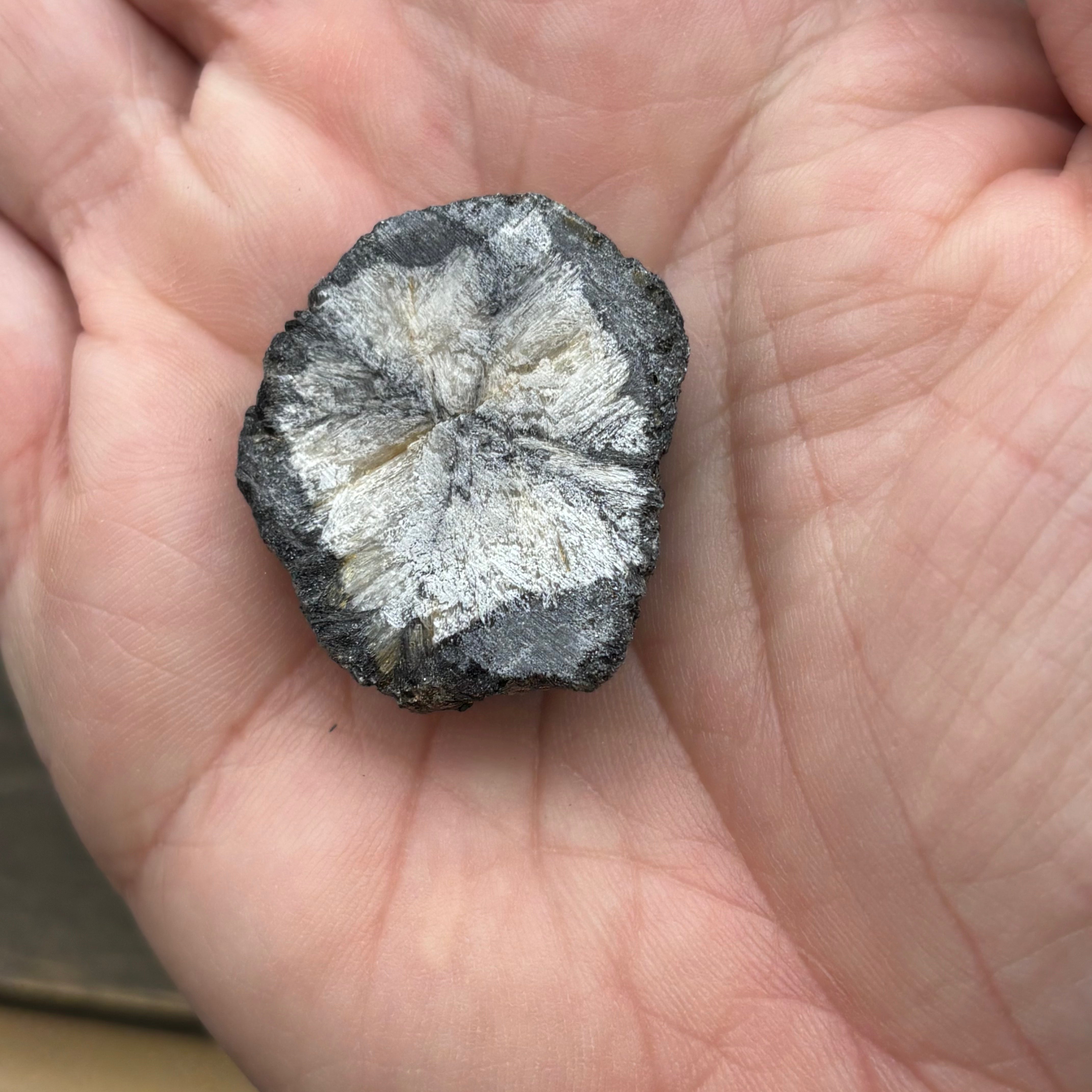 Siberian Chiastolite - 044