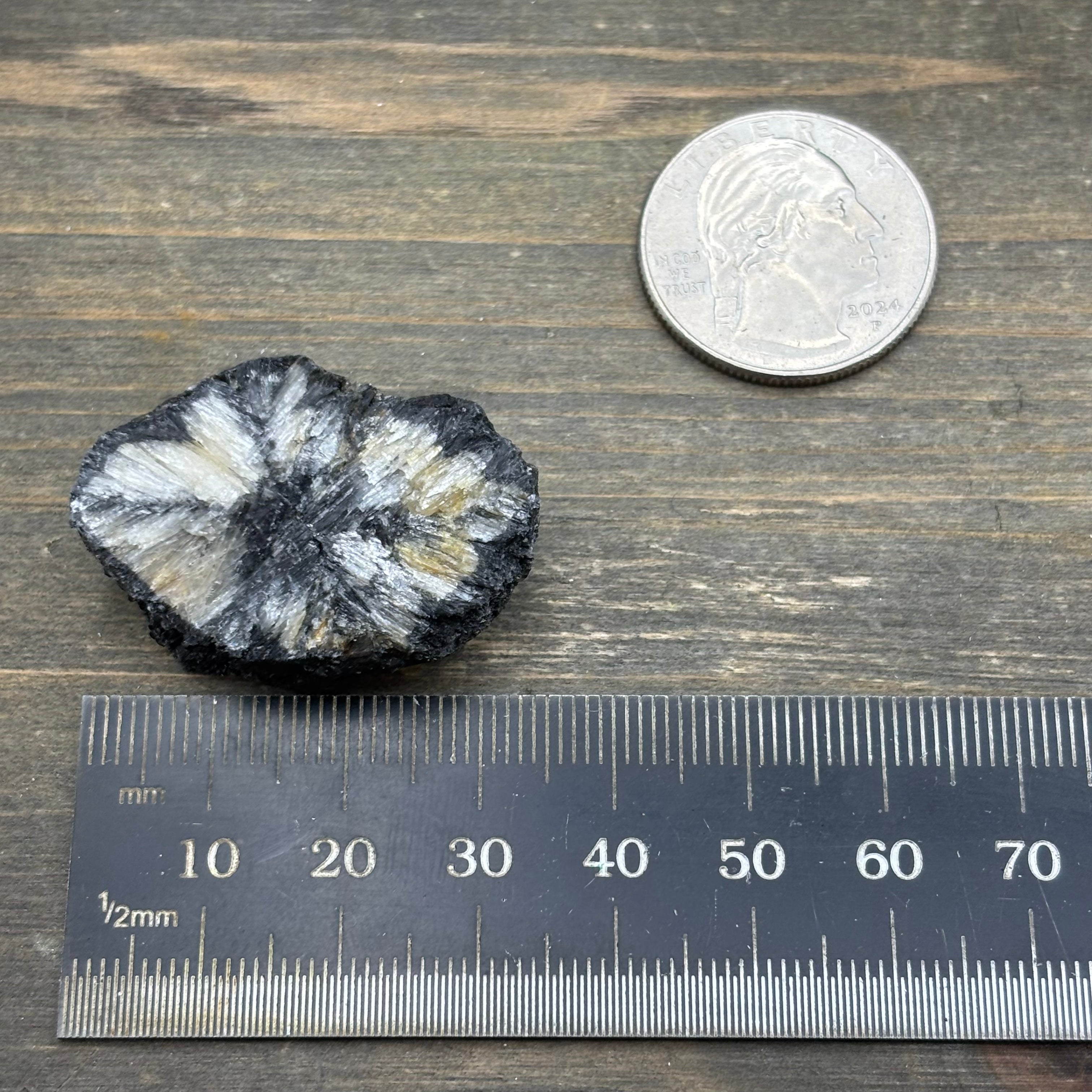 Siberian Chiastolite - 045