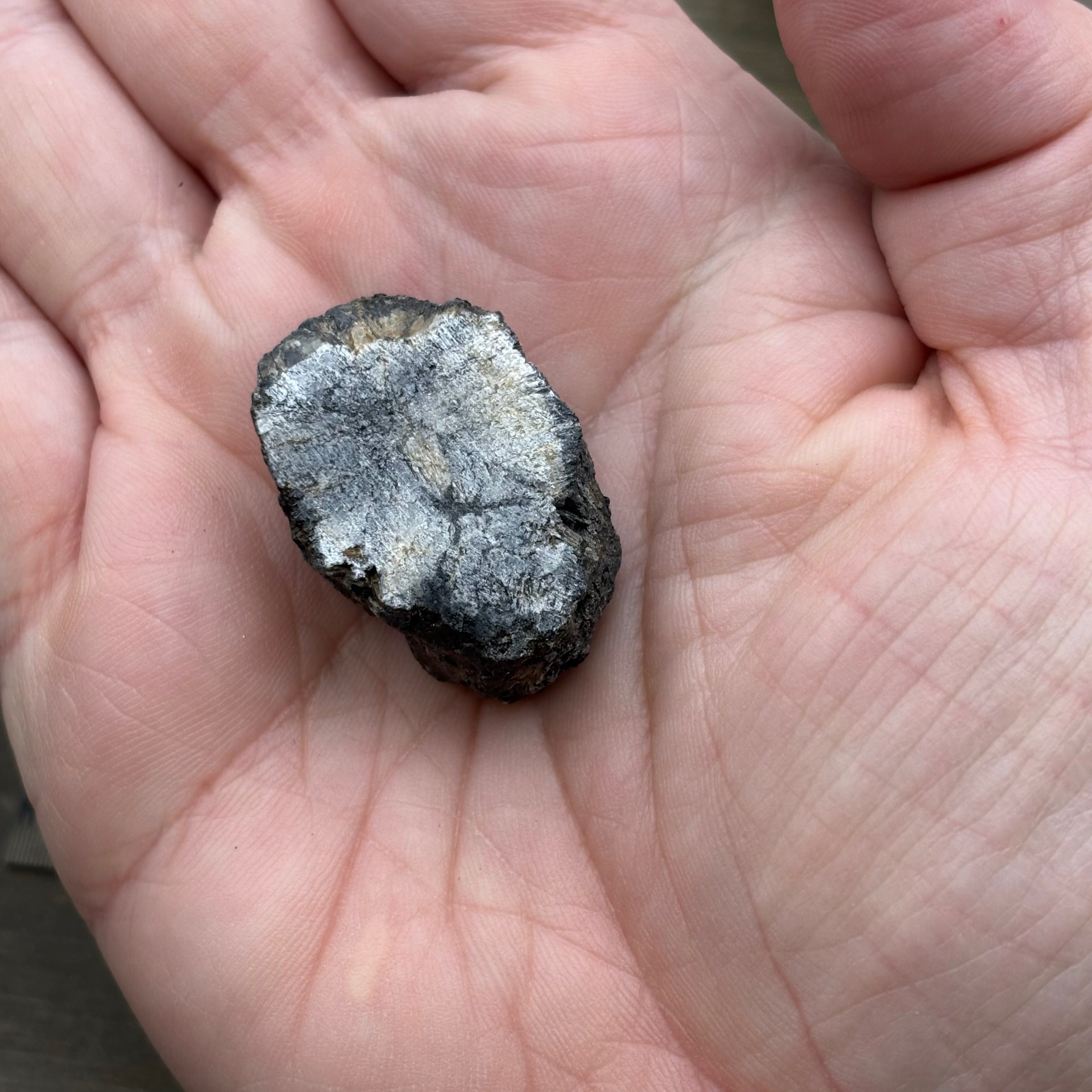Siberian Chiastolite - 045
