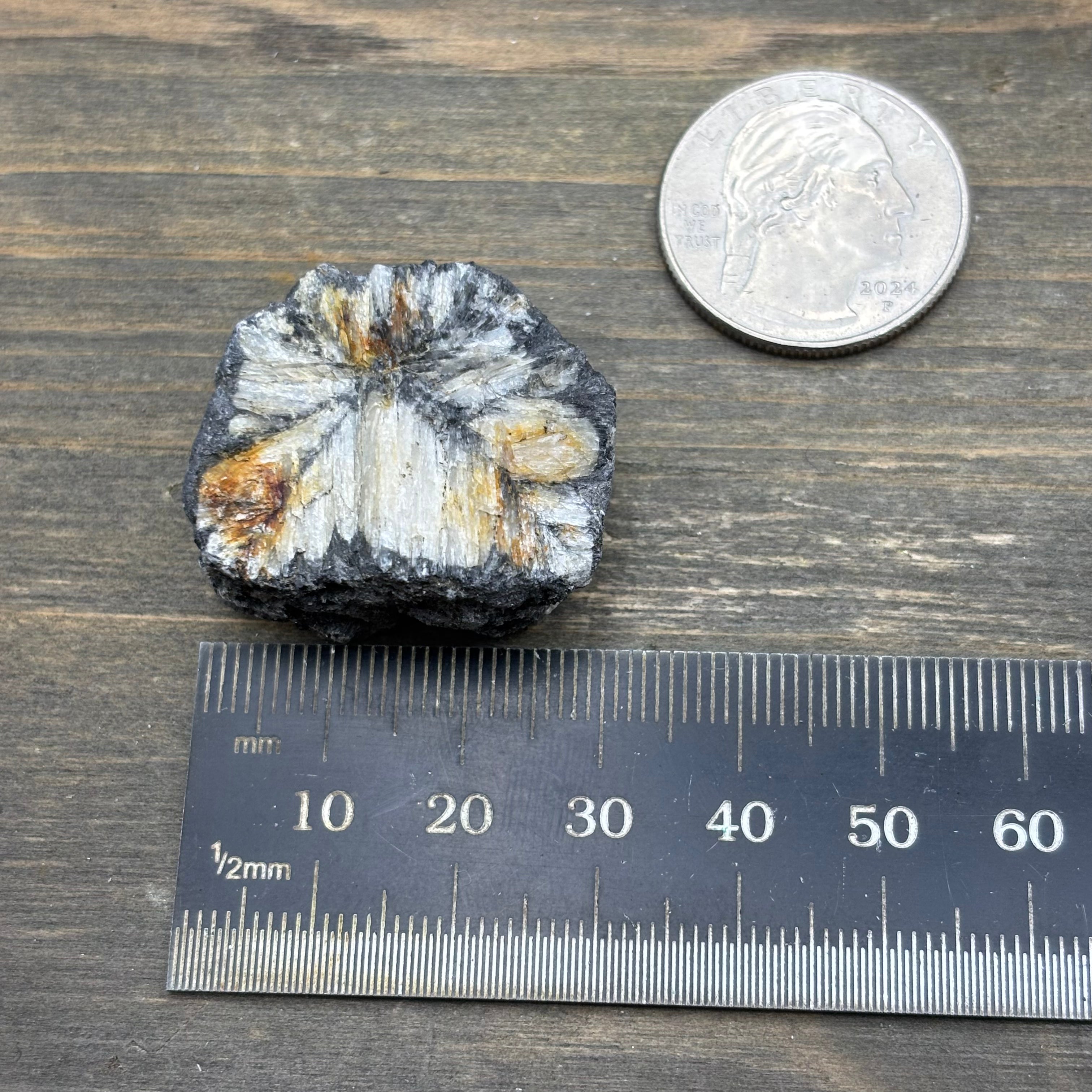 Siberian Chiastolite - 046