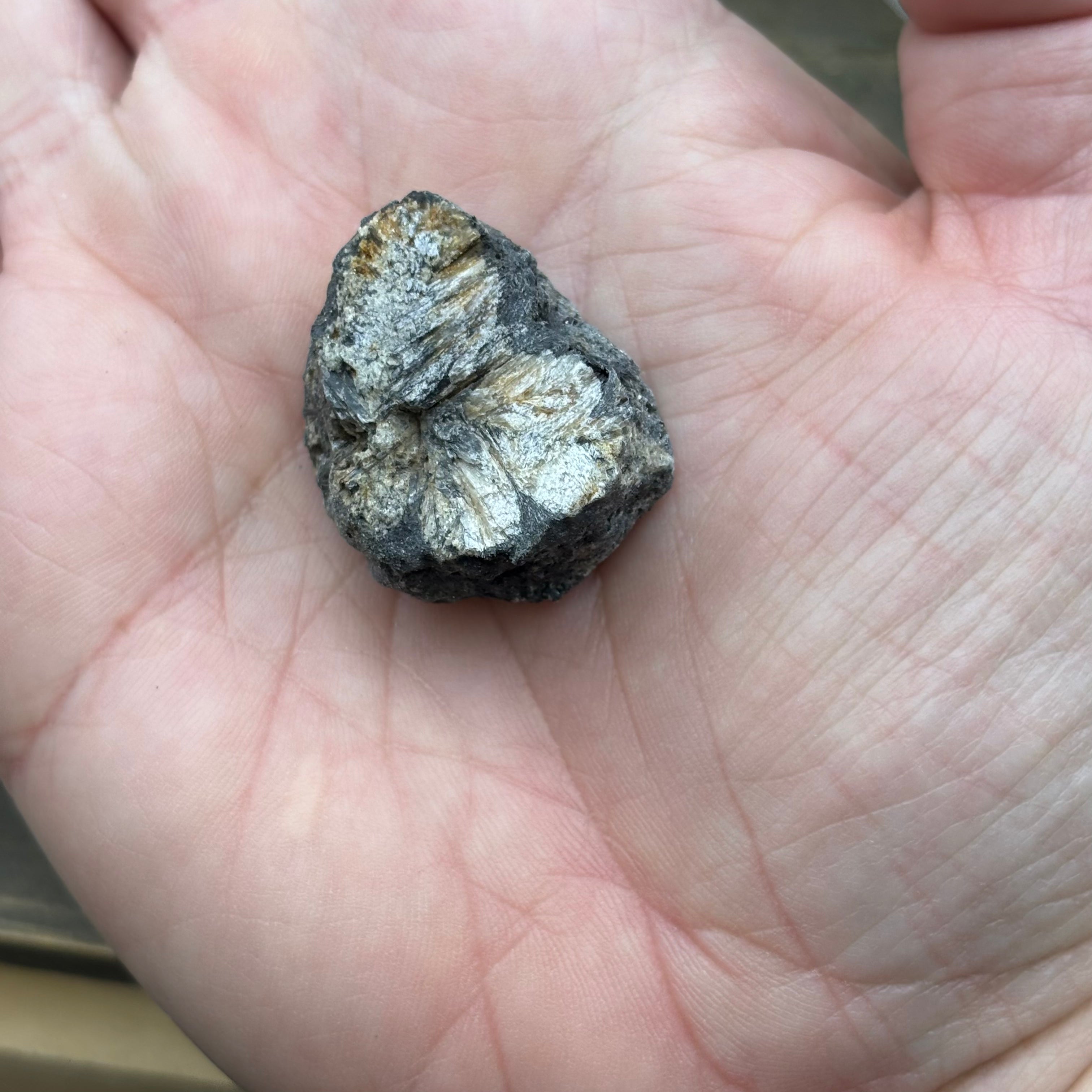 Siberian Chiastolite - 046
