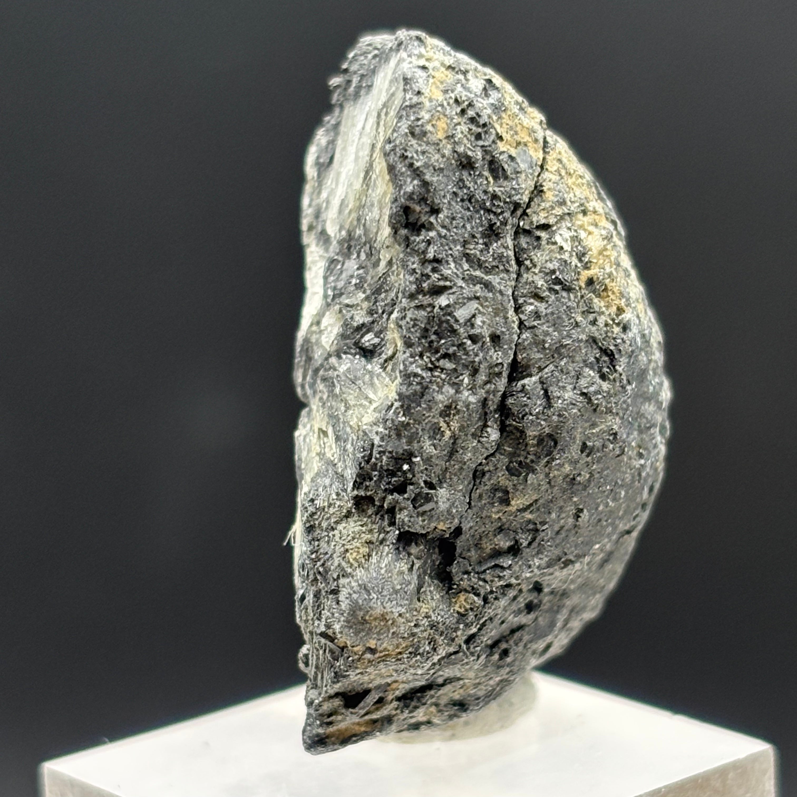 Siberian Chiastolite - 047