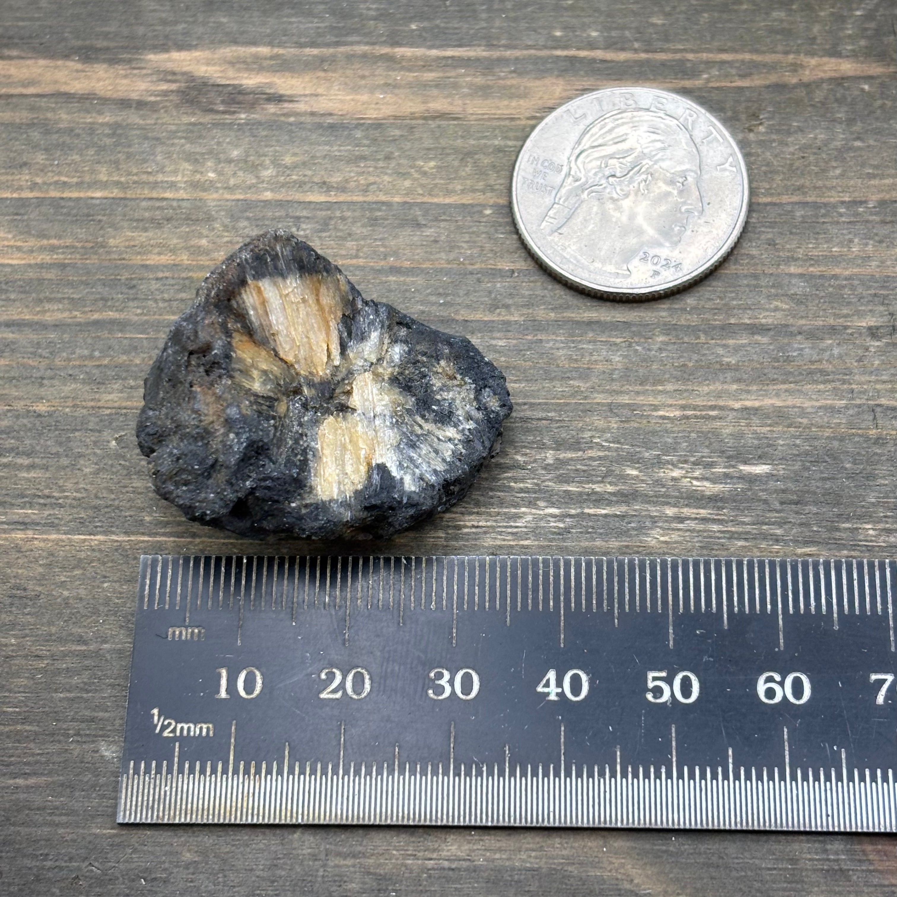 Siberian Chiastolite - 048