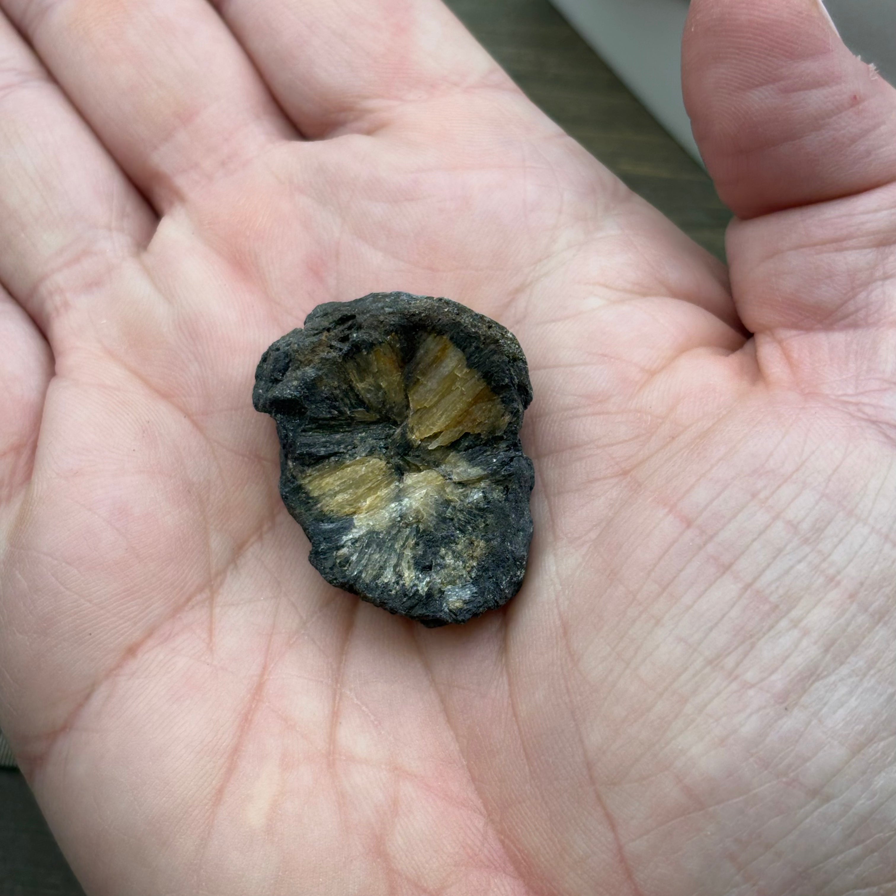 Siberian Chiastolite - 048