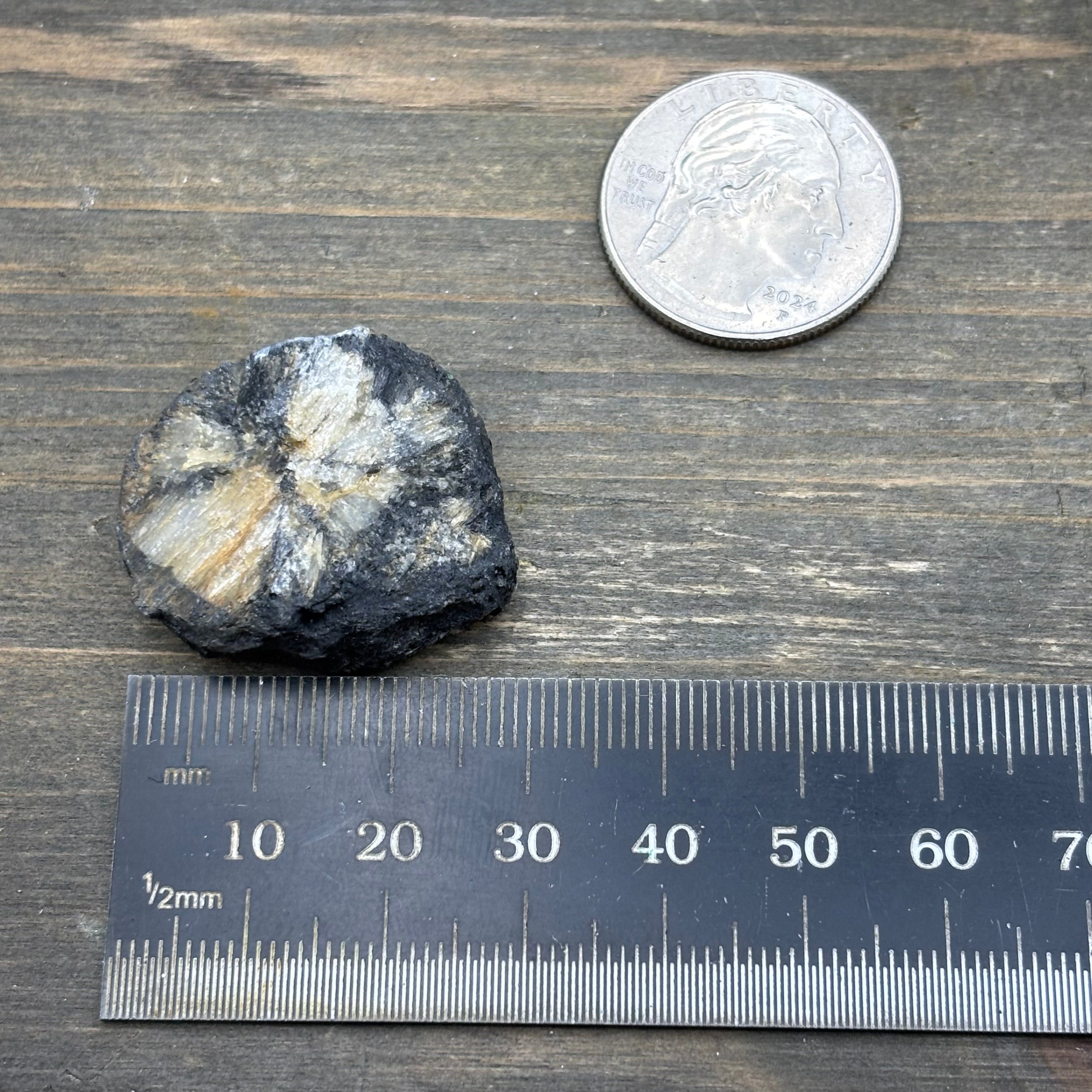 Siberian Chiastolite - 049