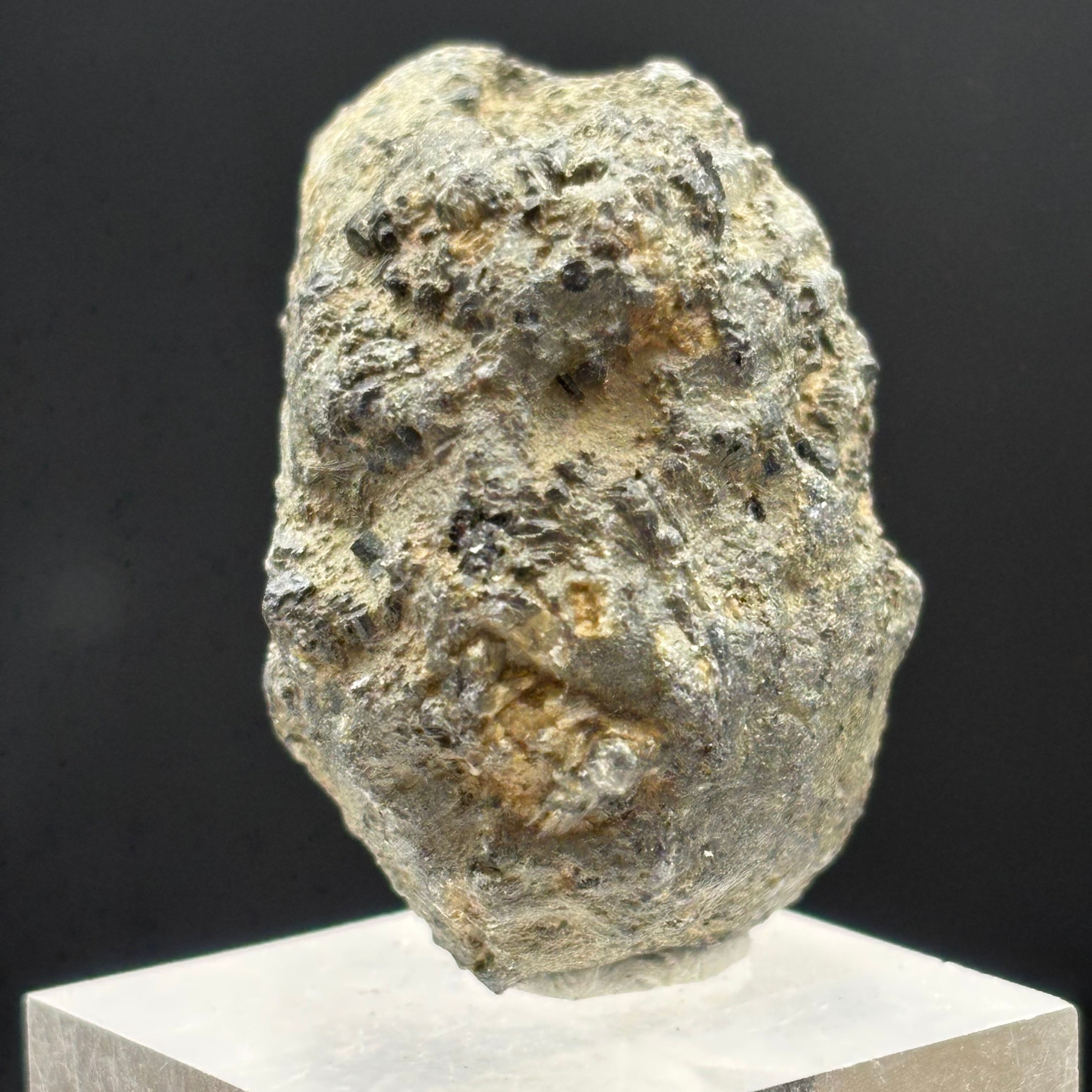 Siberian Chiastolite - 050