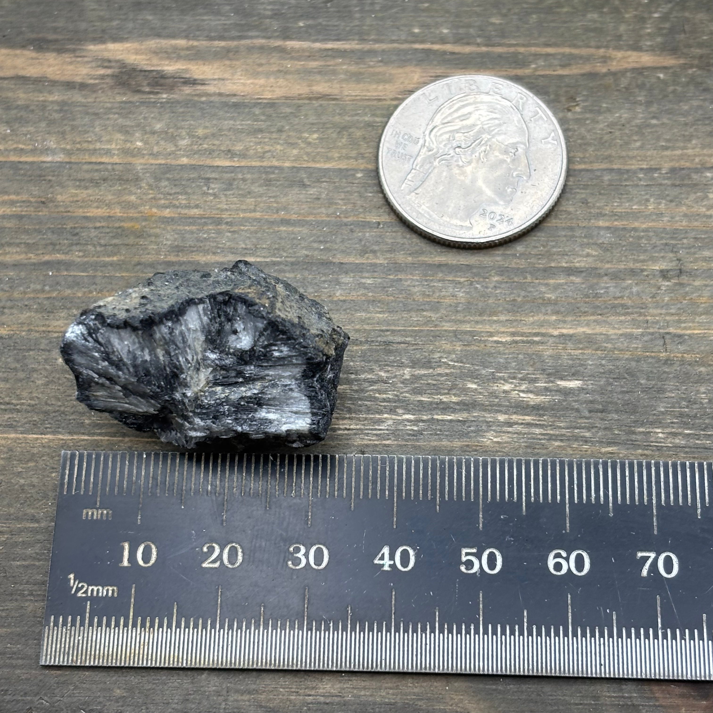 Siberian Chiastolite - 050