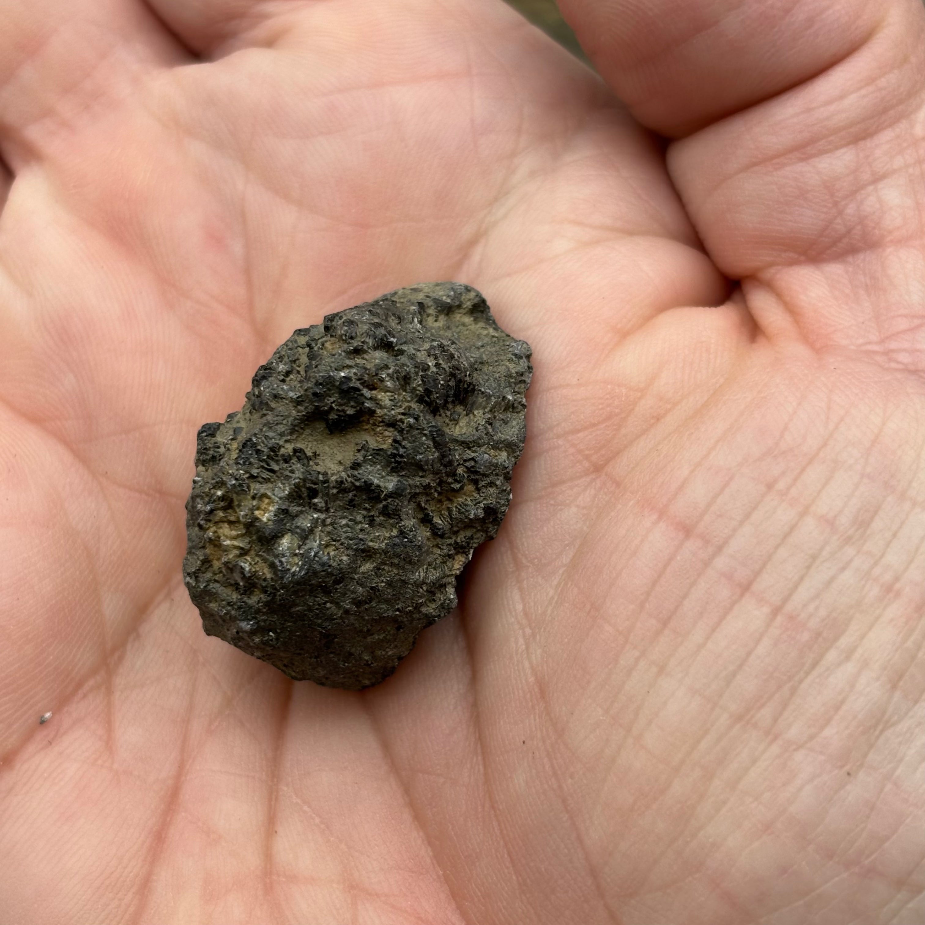 Siberian Chiastolite - 050