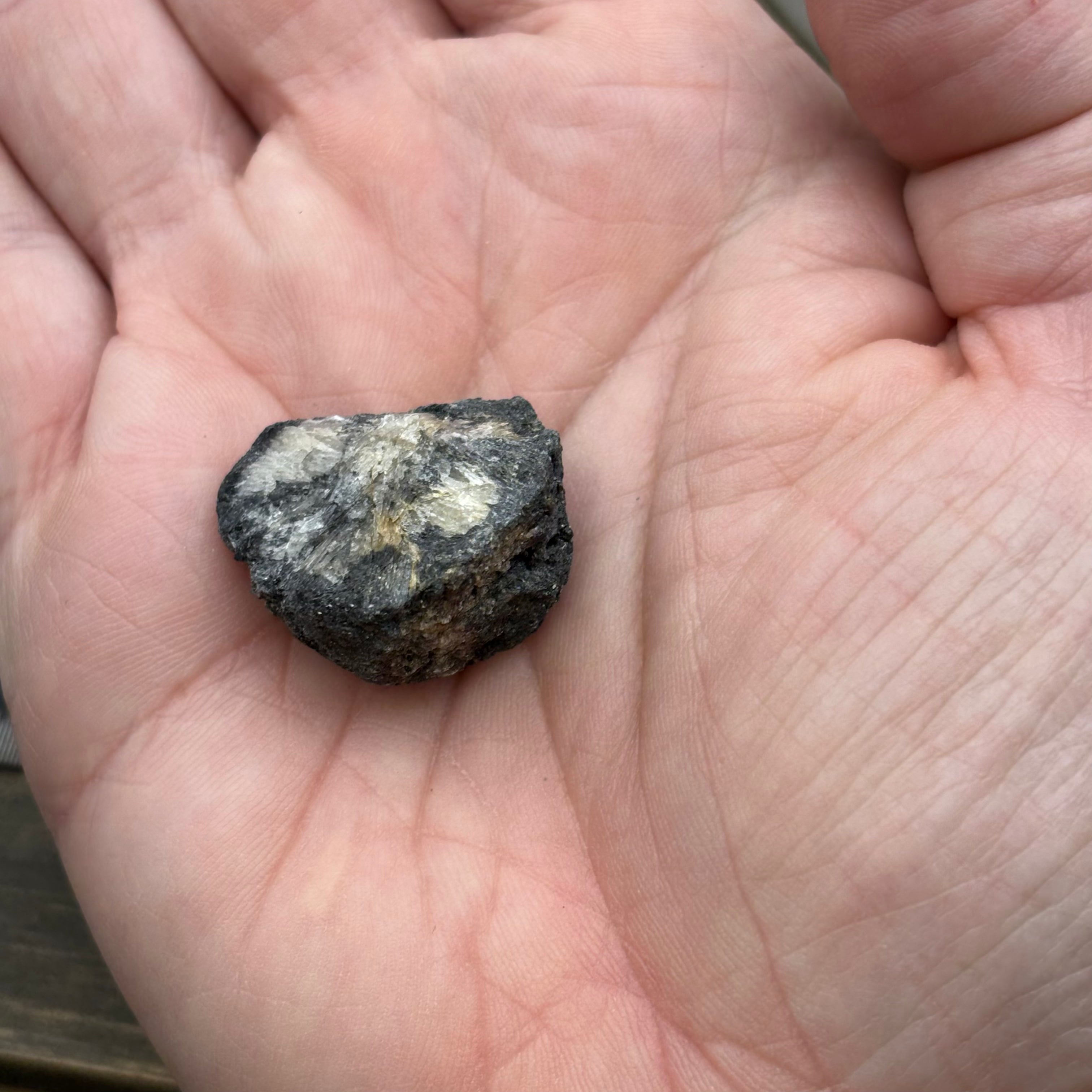 Siberian Chiastolite - 051