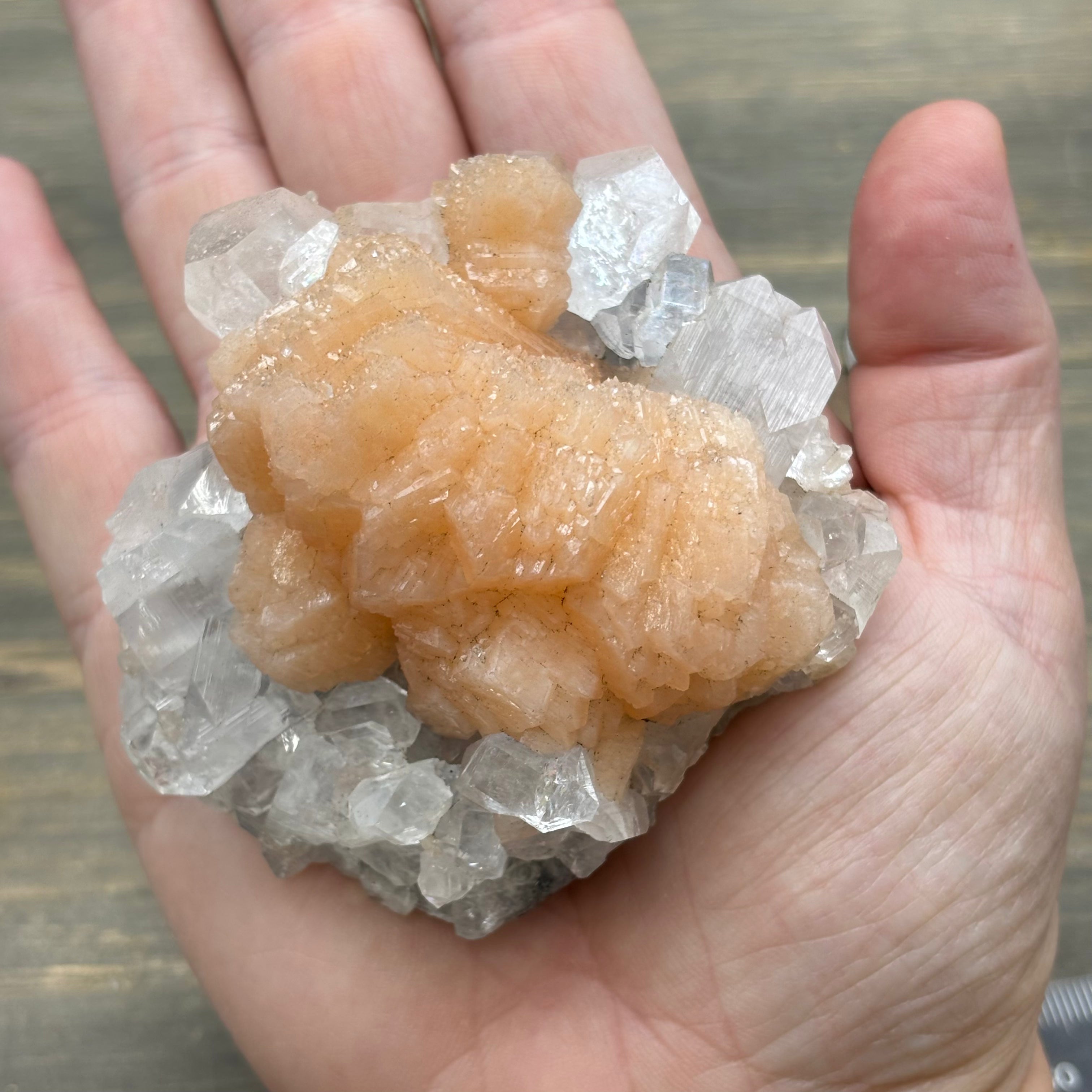 Apophyllite Crystal - 622