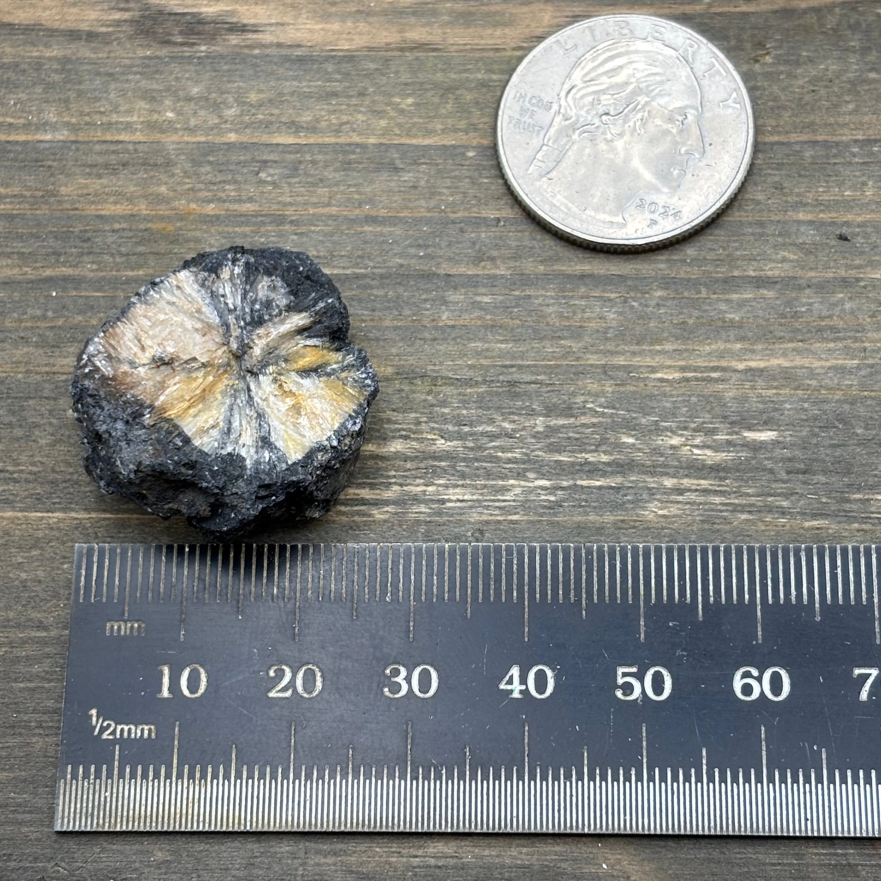 Siberian Chiastolite - 052