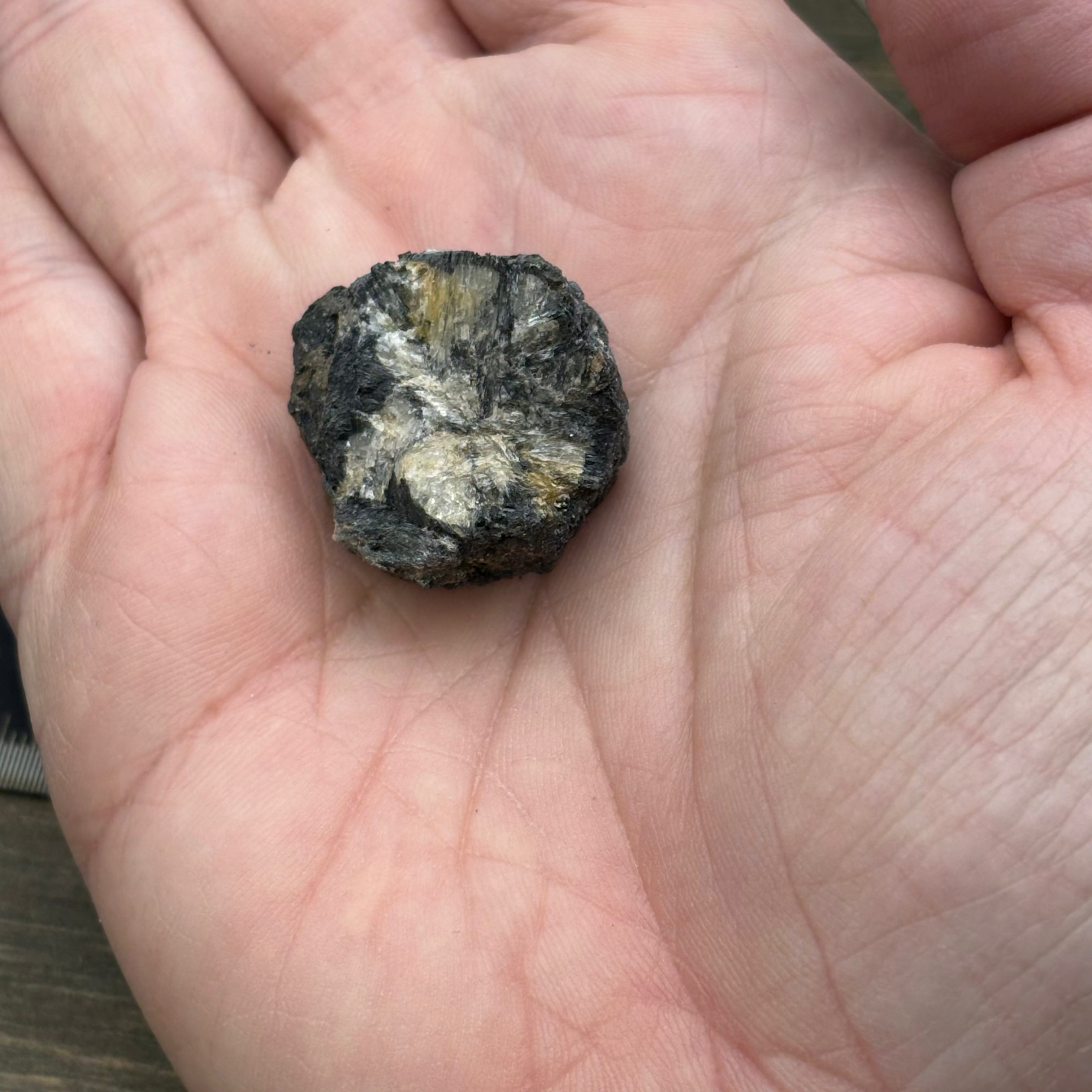 Siberian Chiastolite - 052