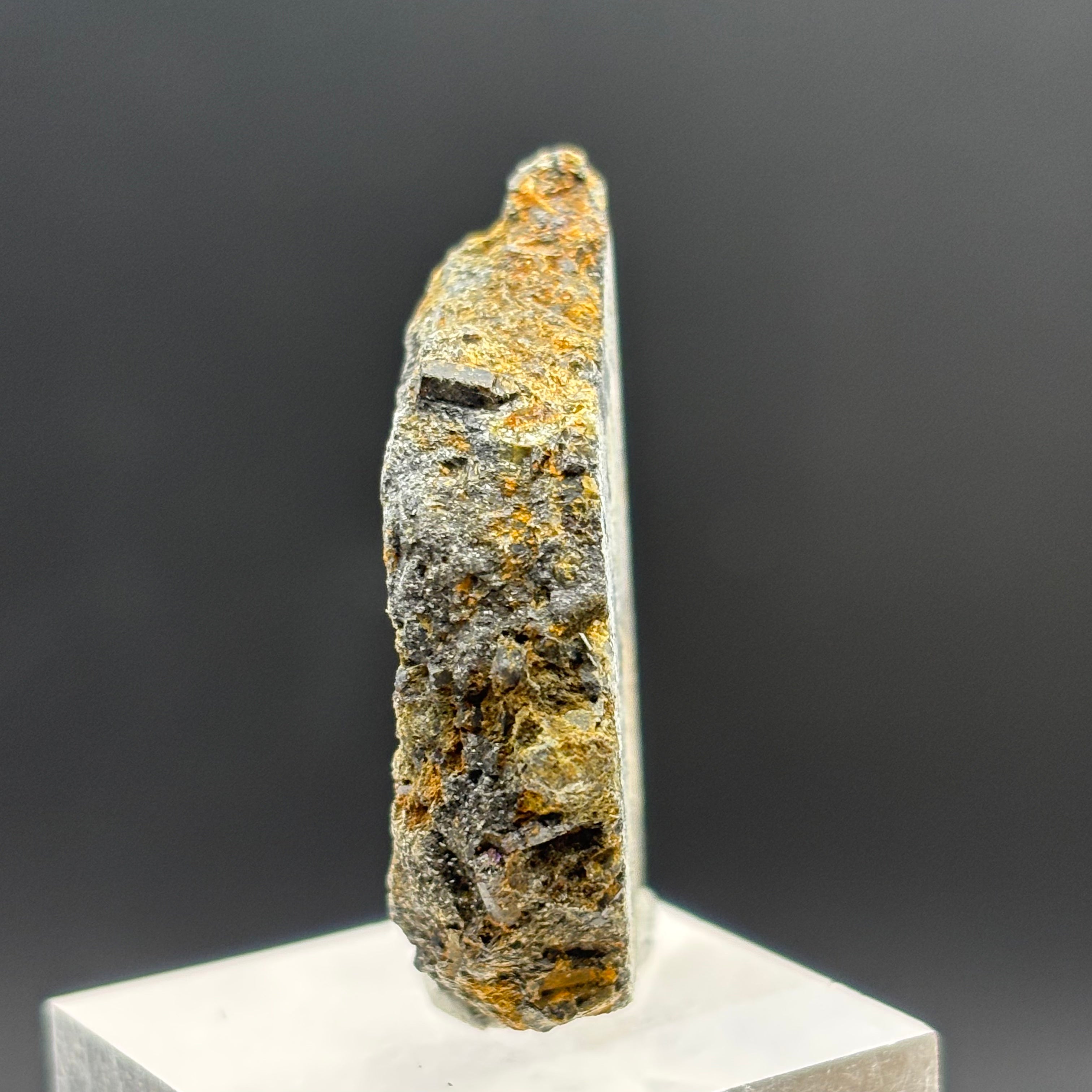 Siberian Chiastolite - 054