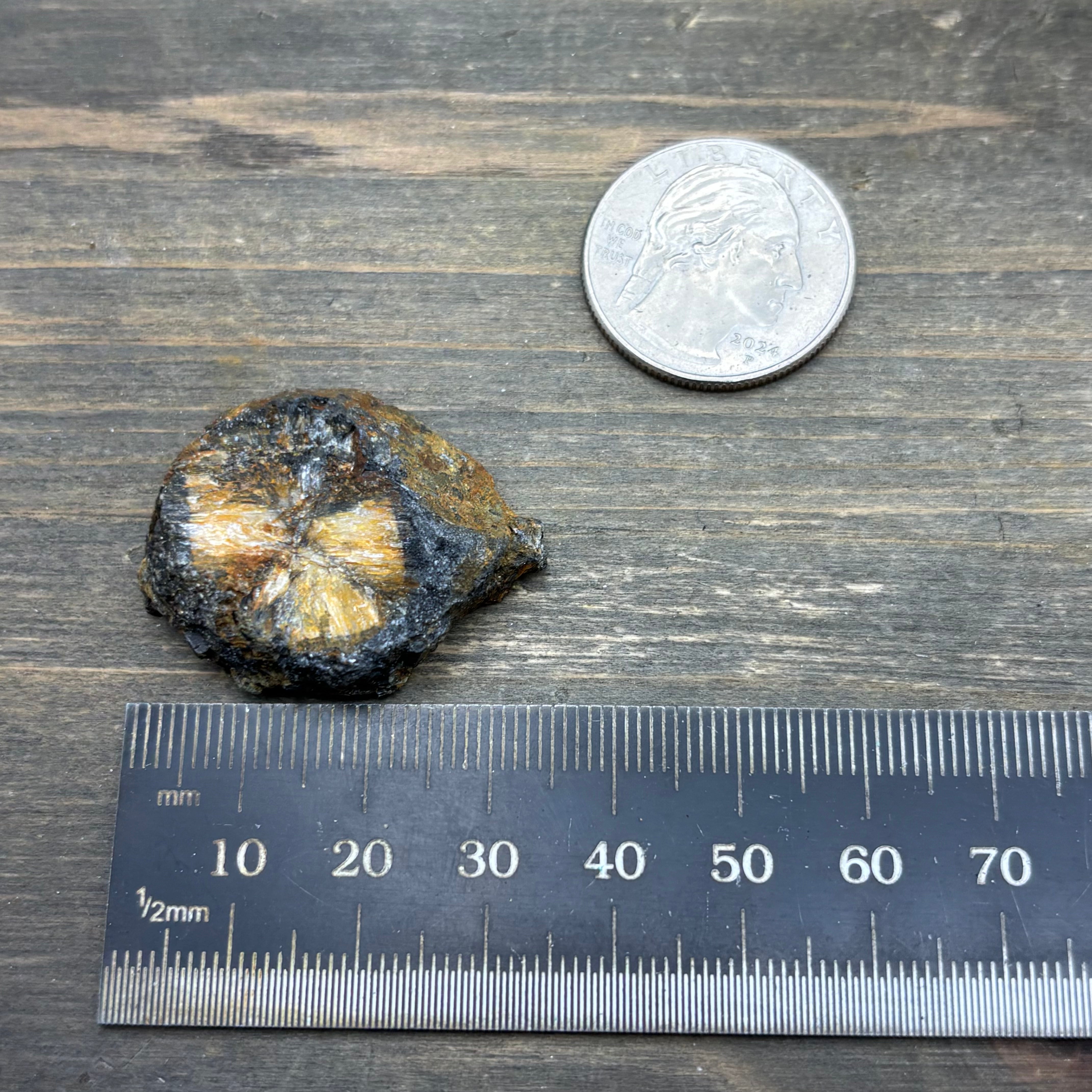 Siberian Chiastolite - 054