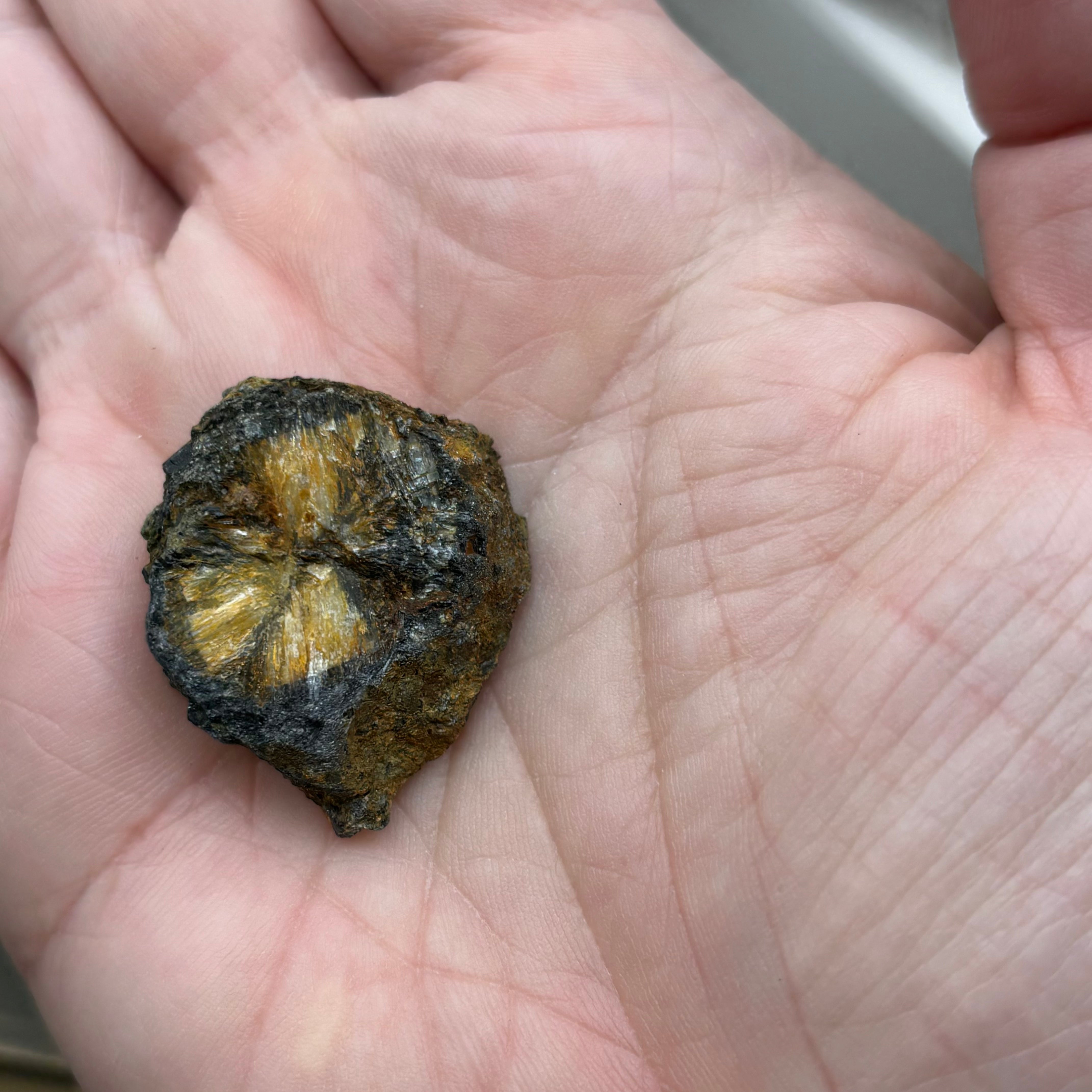 Siberian Chiastolite - 054