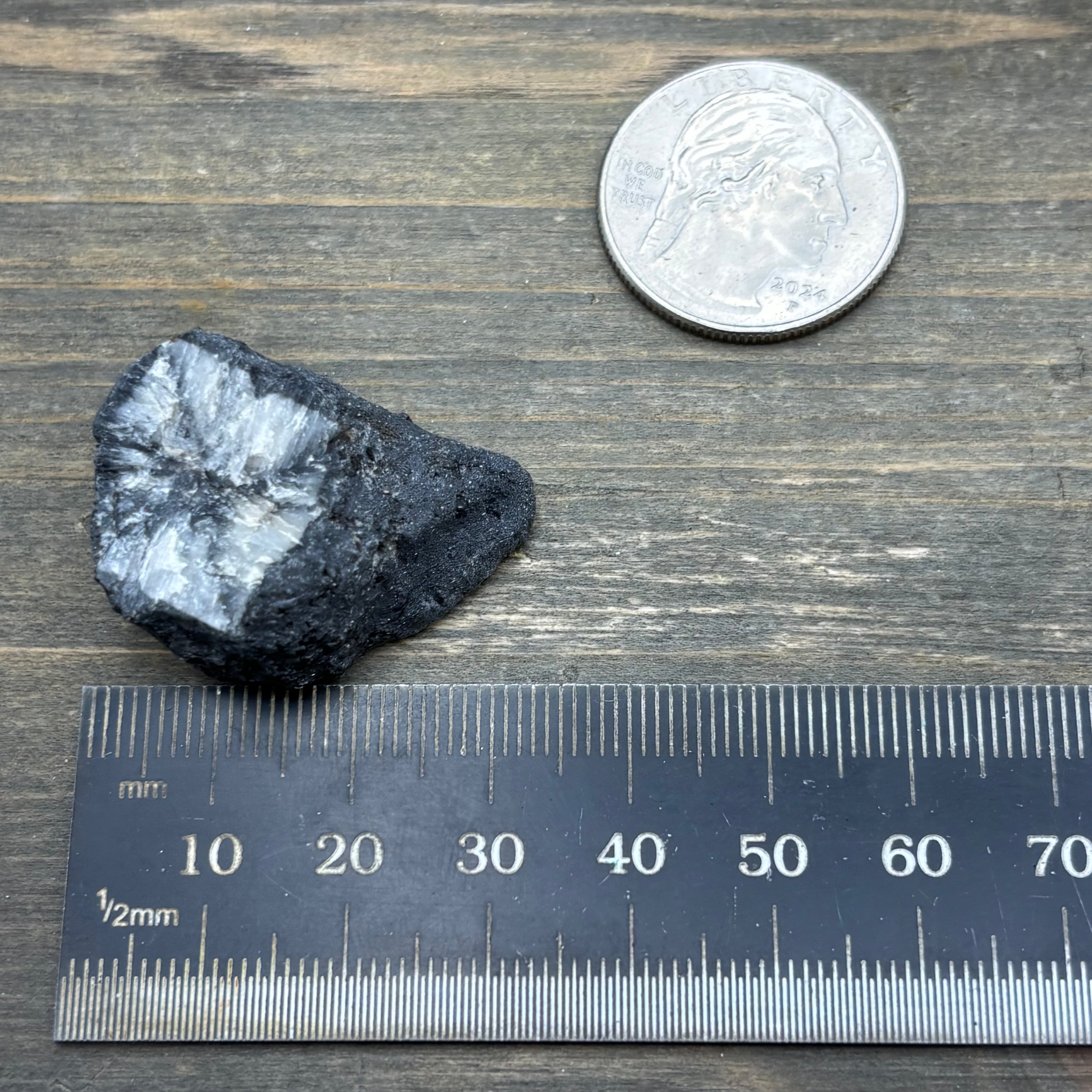 Siberian Chiastolite - 055