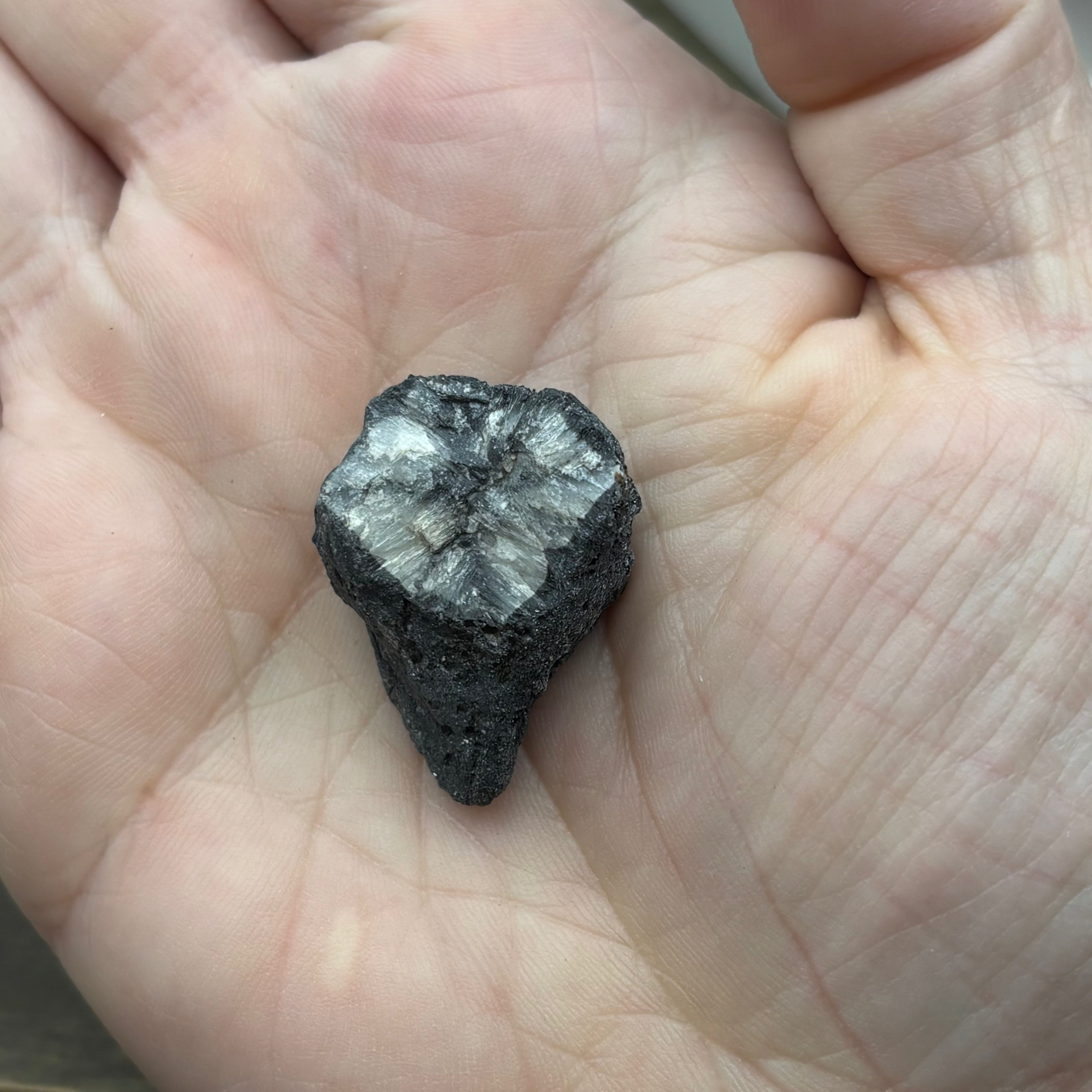 Siberian Chiastolite - 055