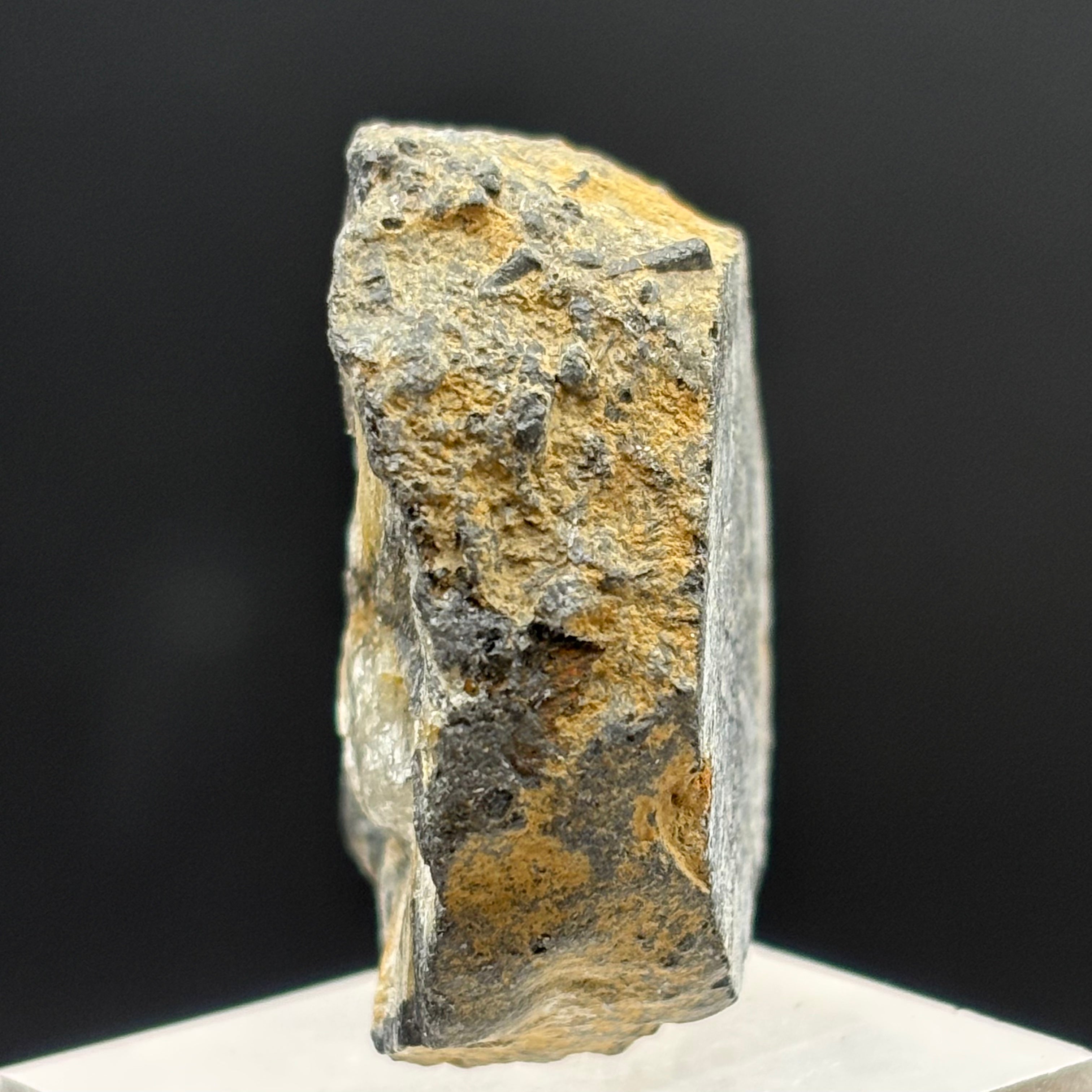 Siberian Chiastolite - 056