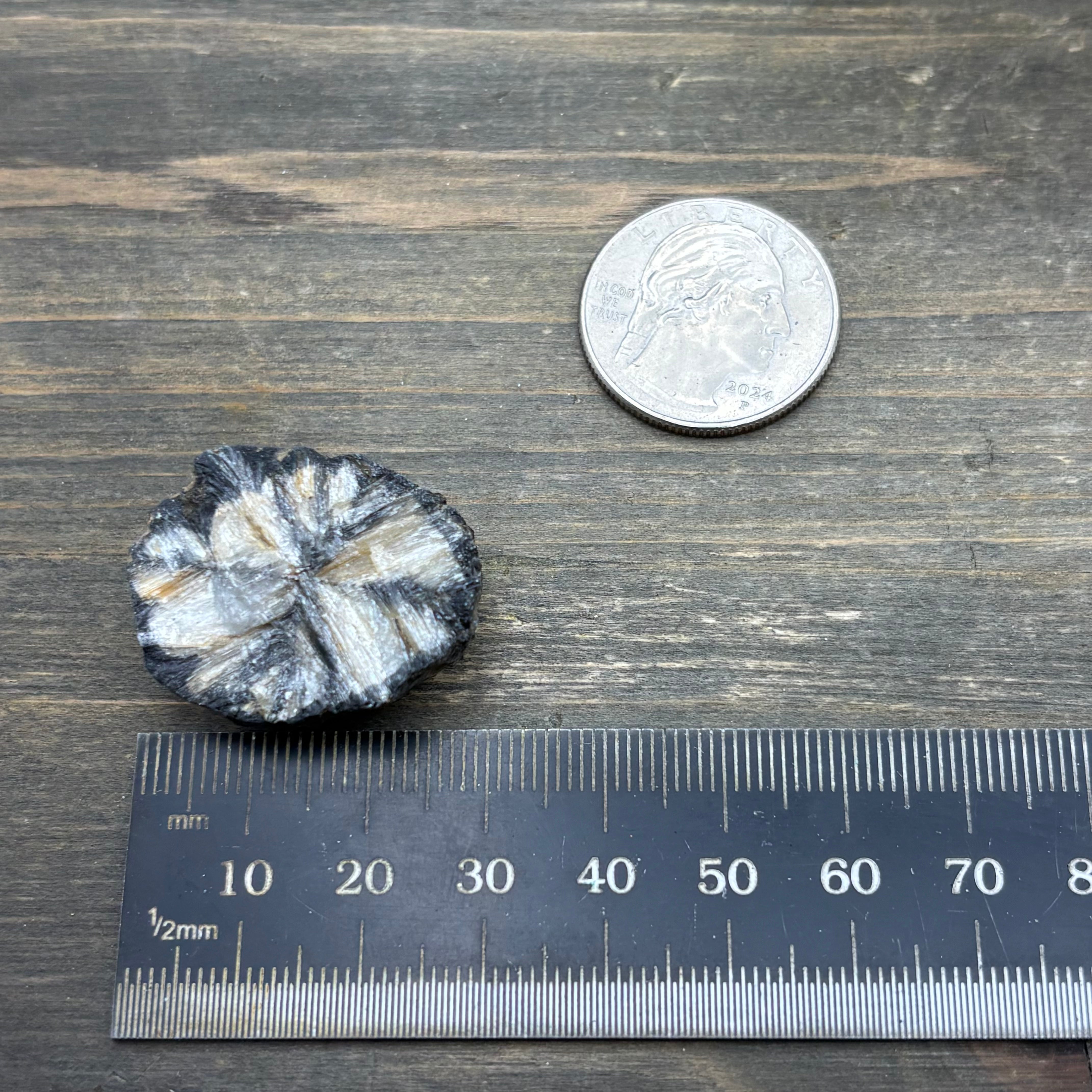 Siberian Chiastolite - 056