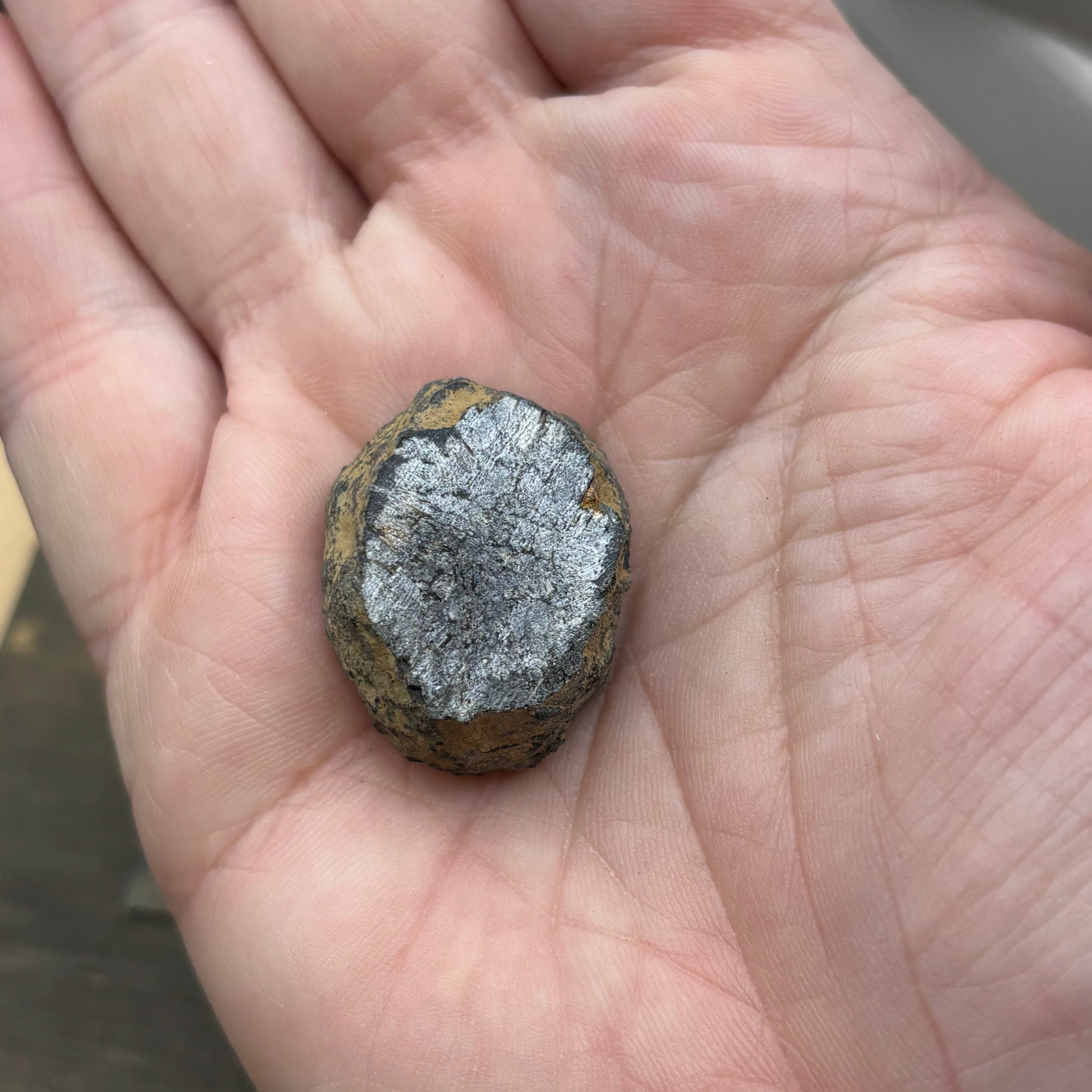 Siberian Chiastolite - 056