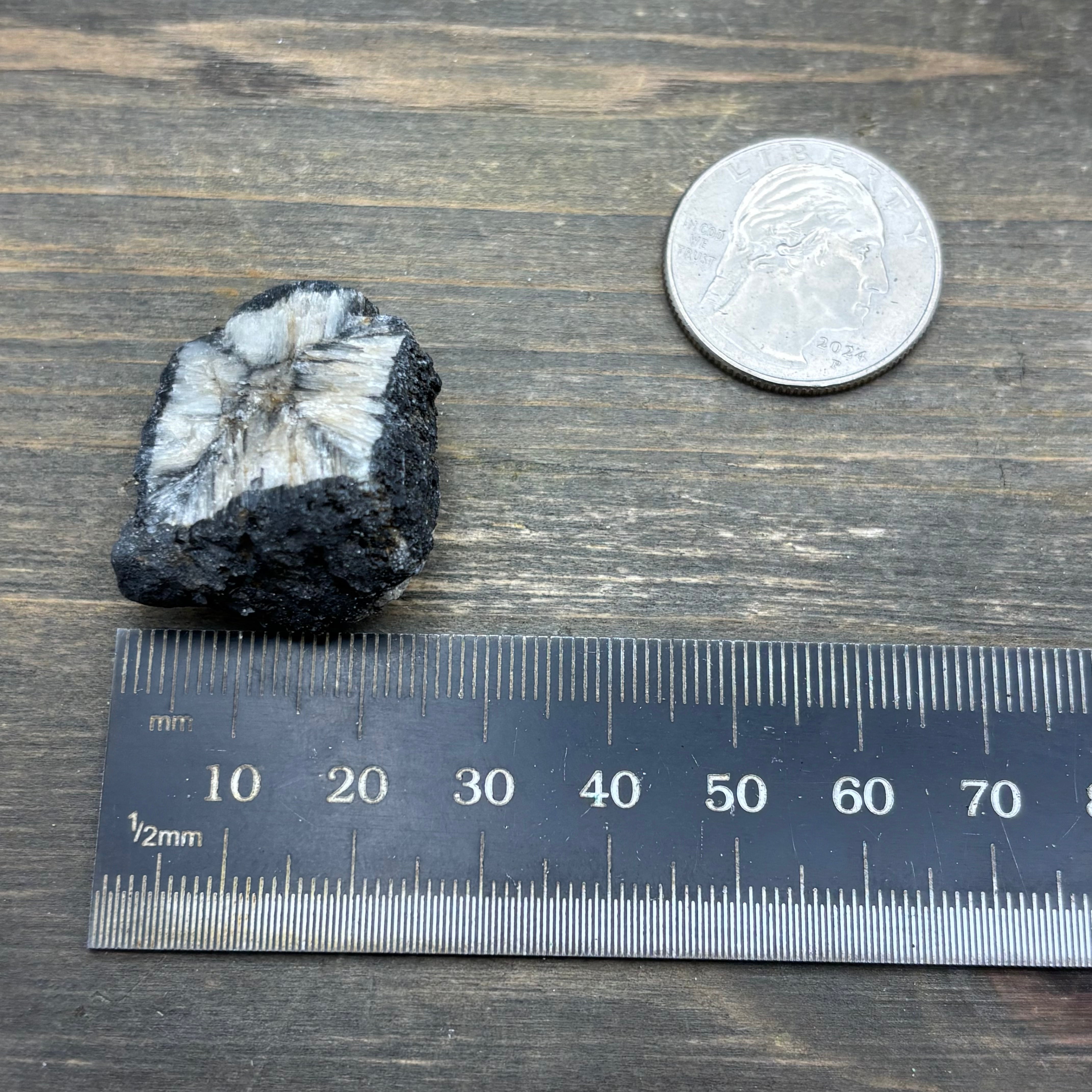Siberian Chiastolite - 057