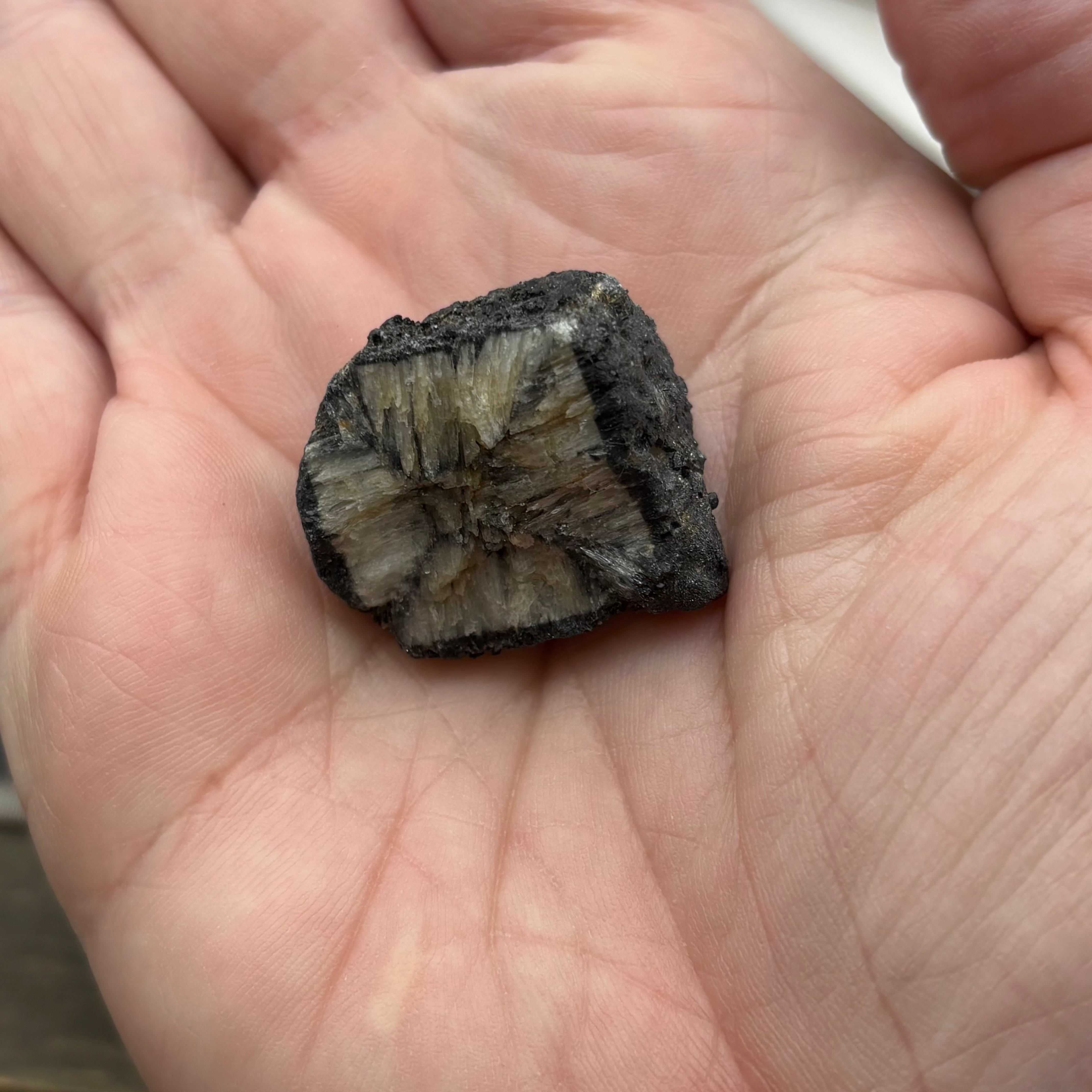 Siberian Chiastolite - 057