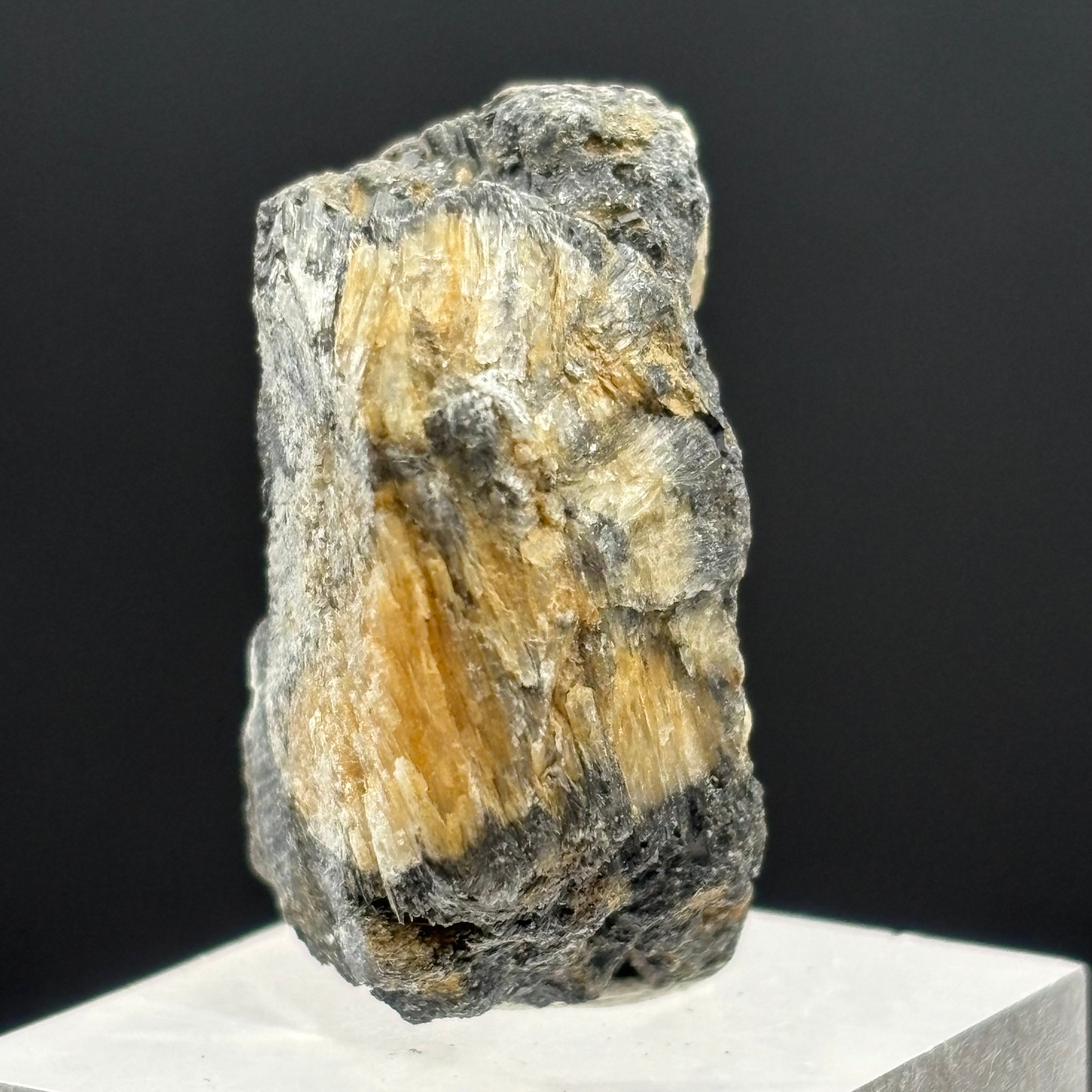 Siberian Chiastolite - 058