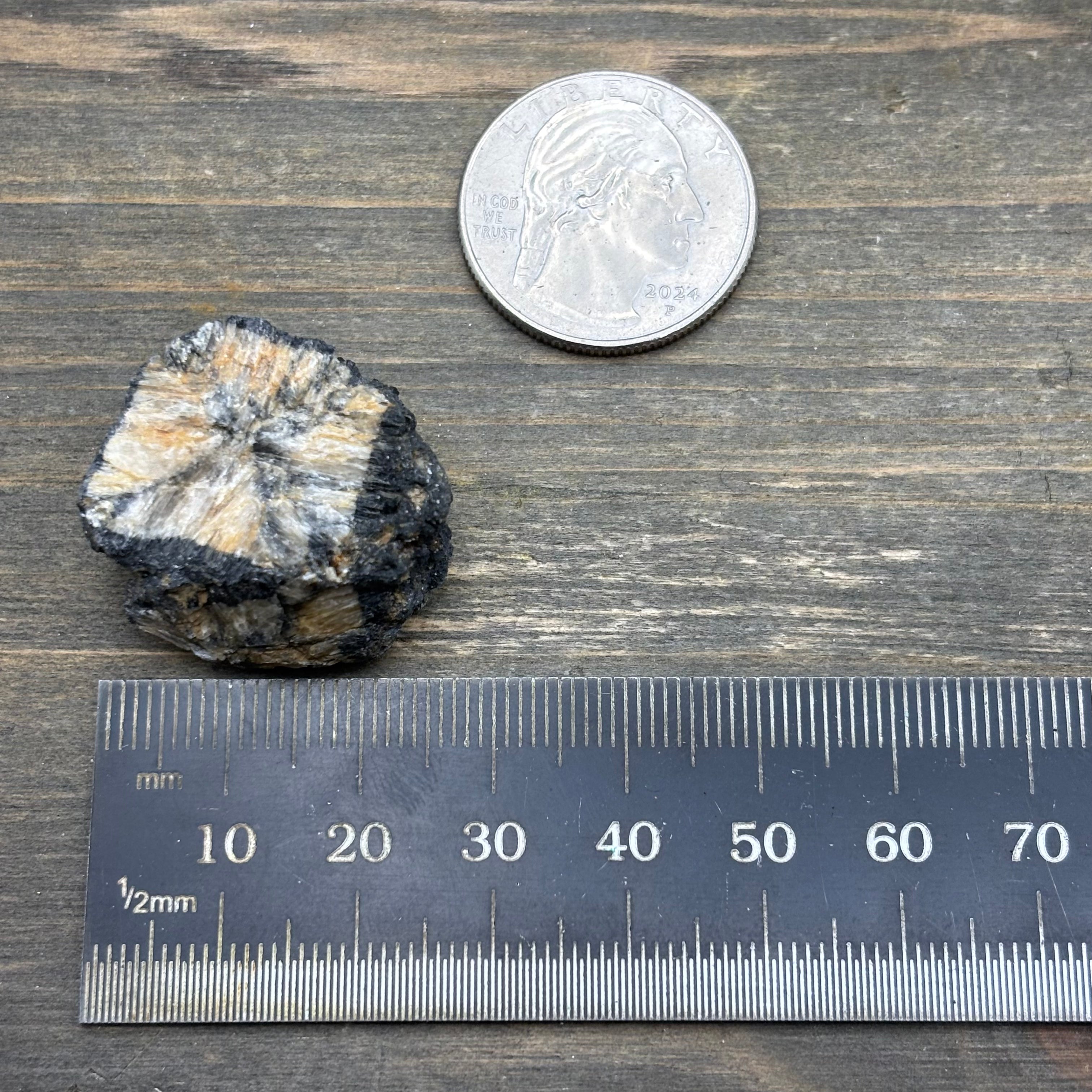 Siberian Chiastolite - 058