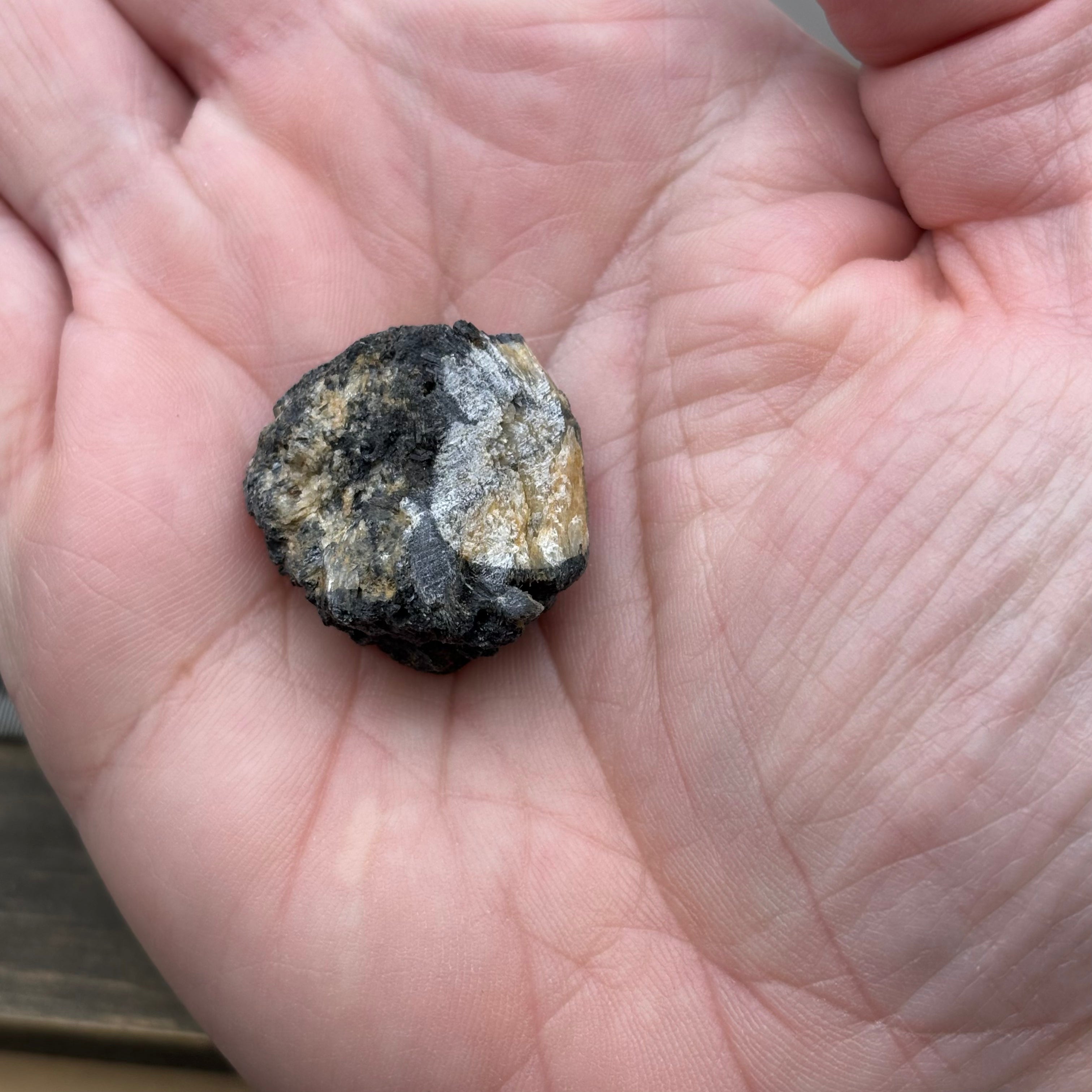 Siberian Chiastolite - 058