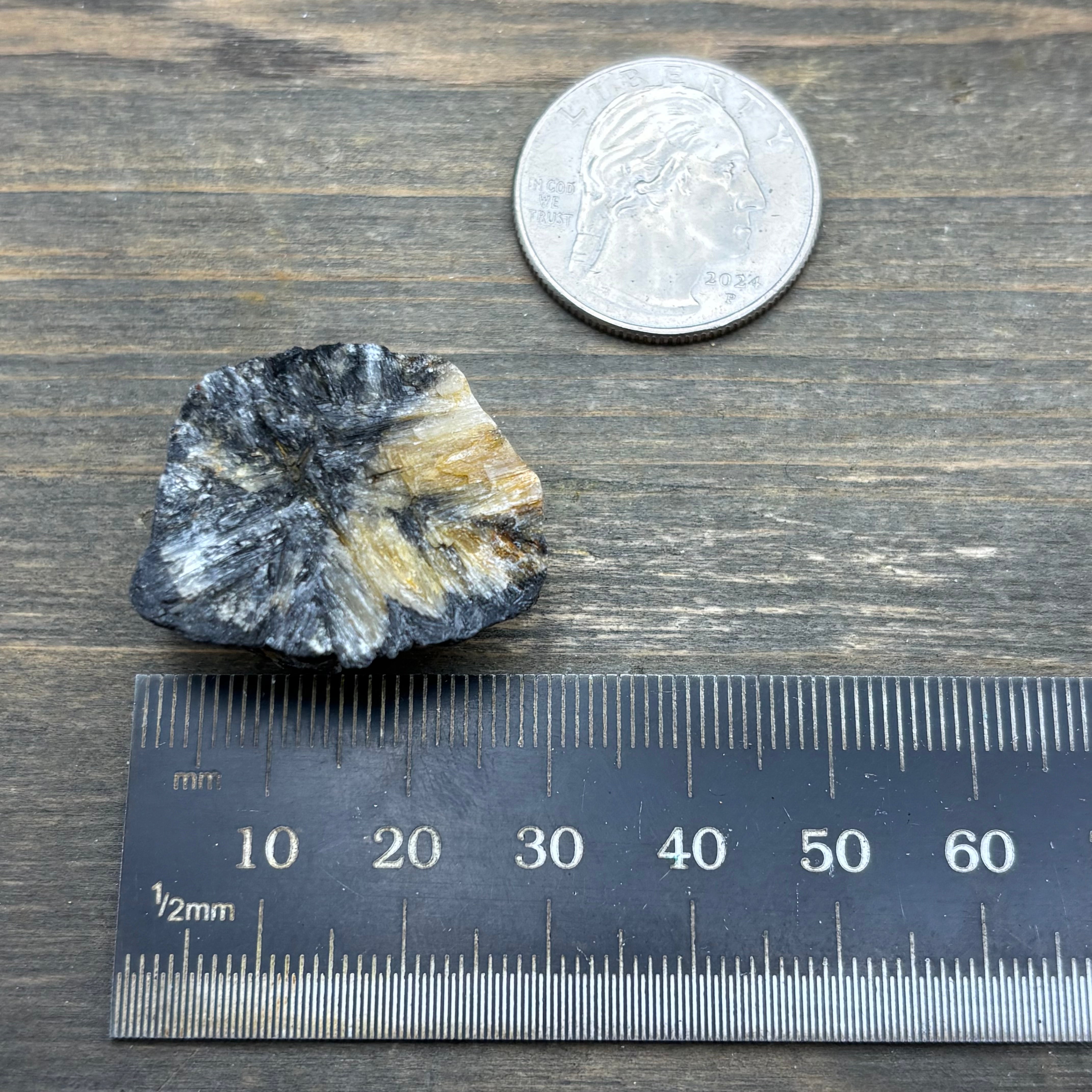Siberian Chiastolite - 060