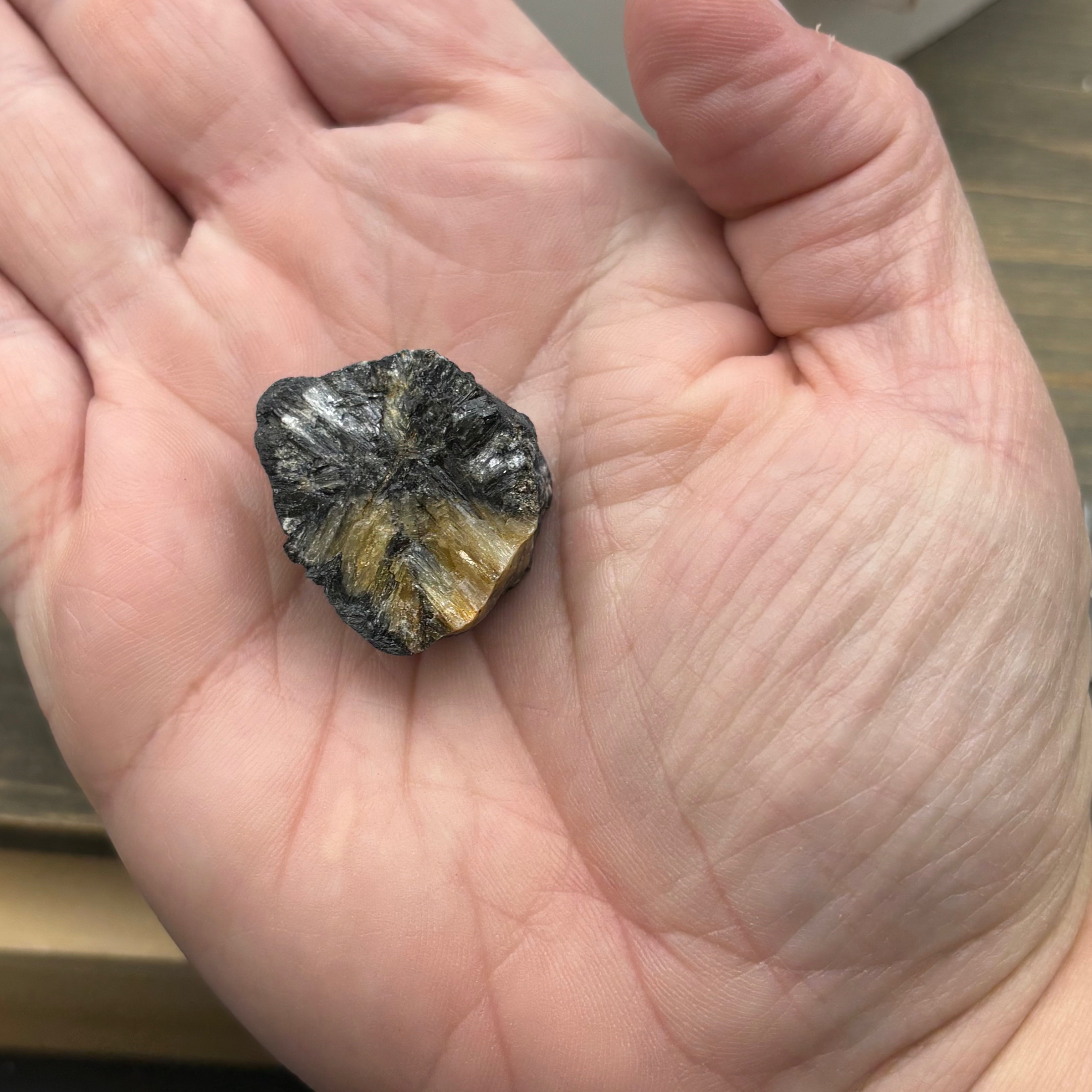 Siberian Chiastolite - 060