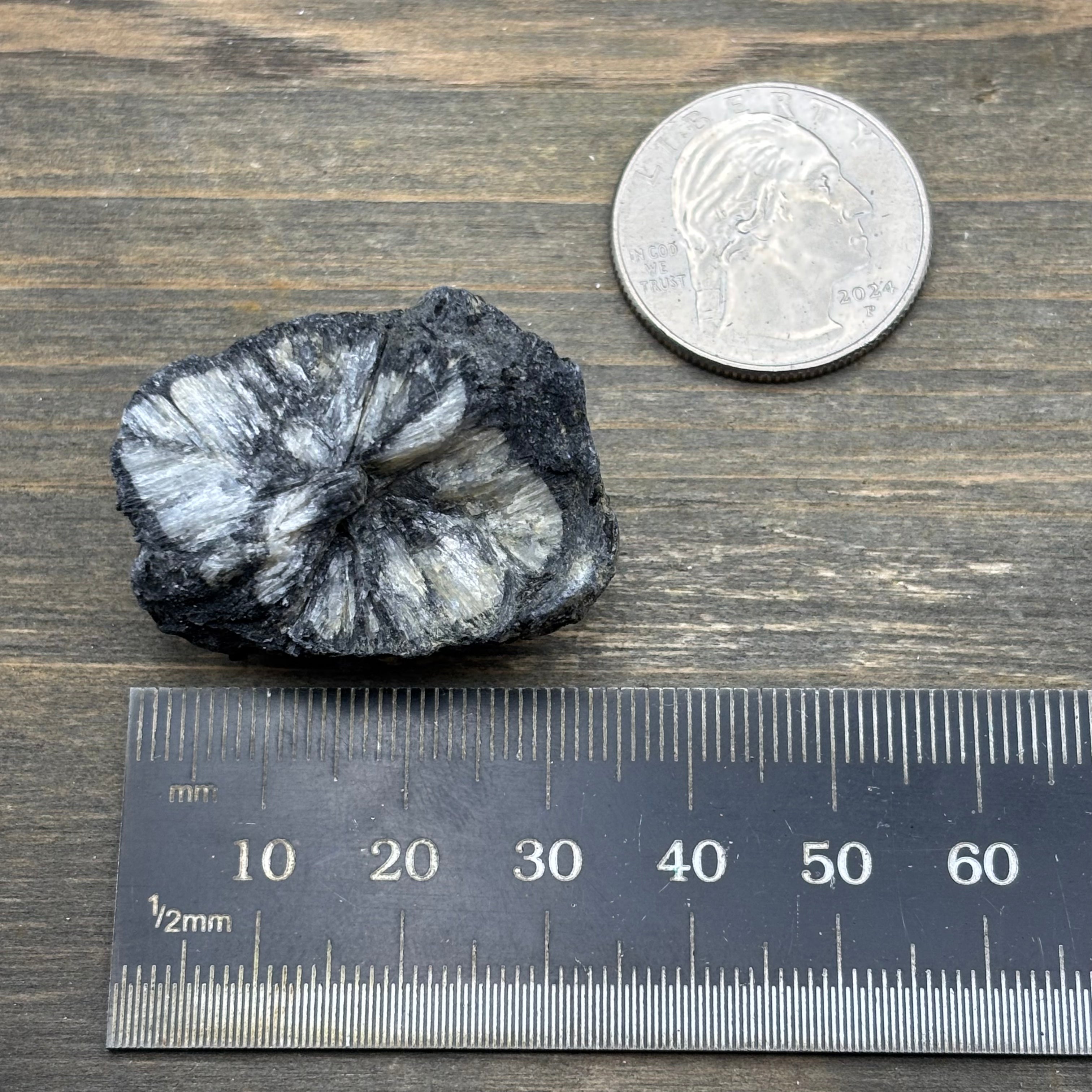 Siberian Chiastolite - 047