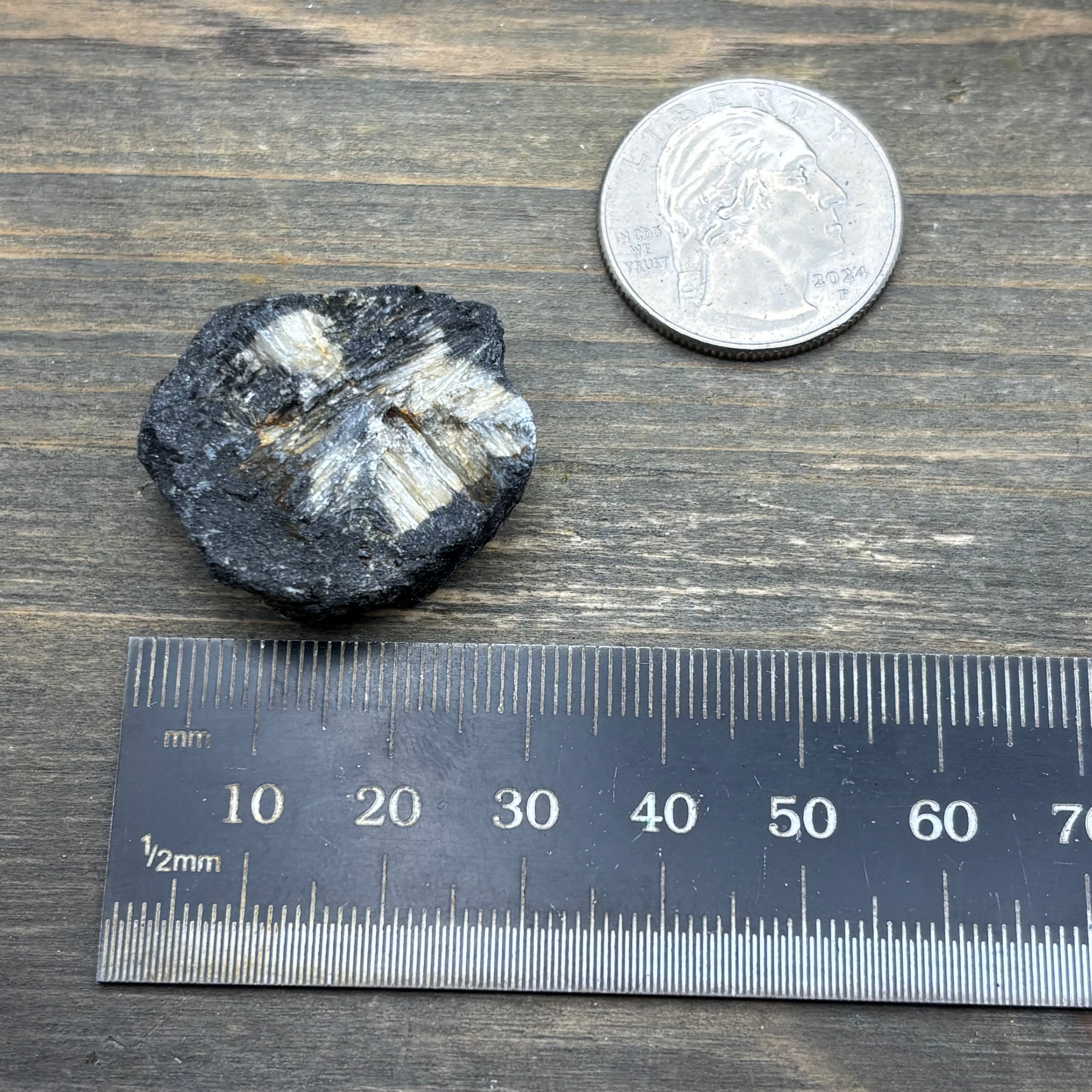 Siberian Chiastolite - 059