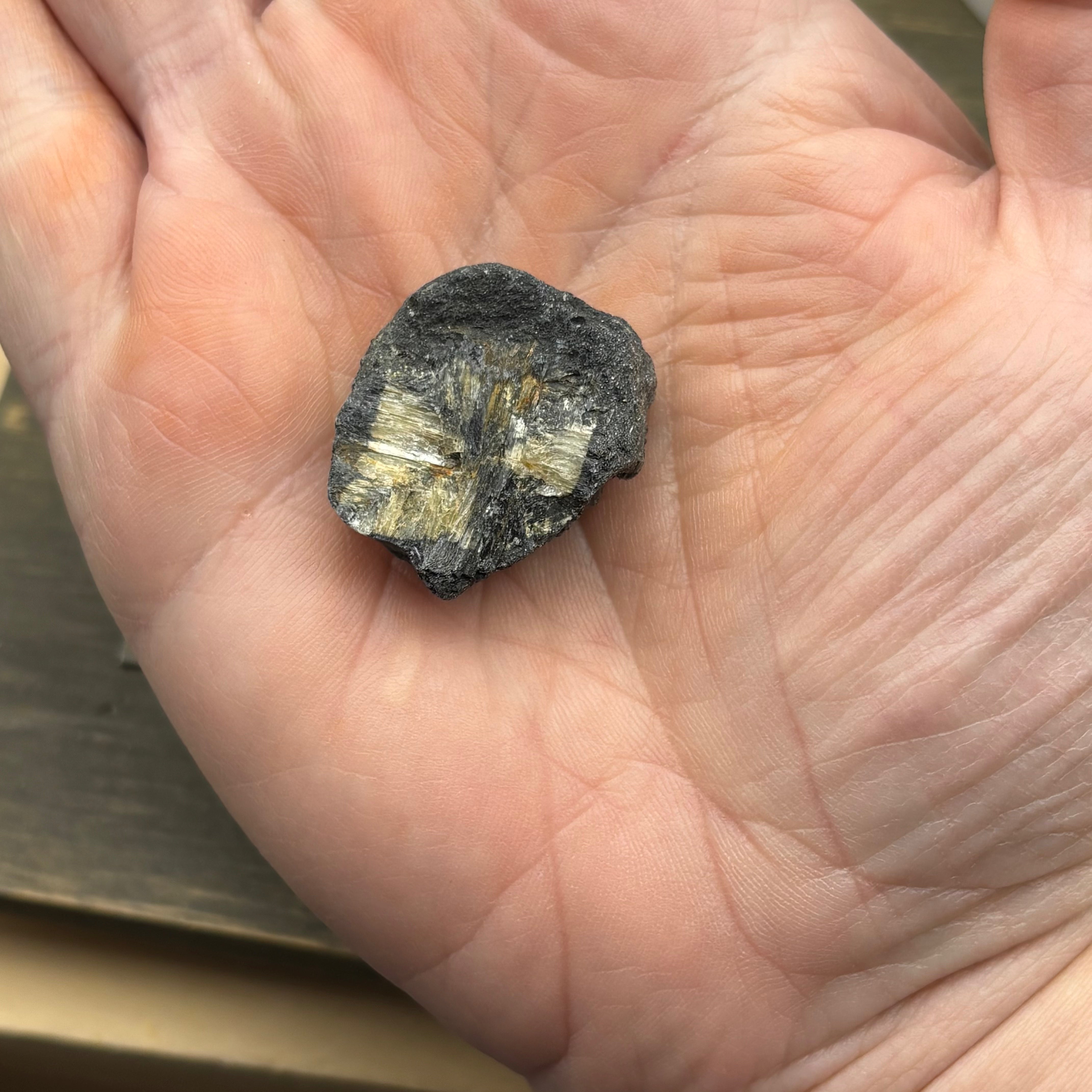 Siberian Chiastolite - 059