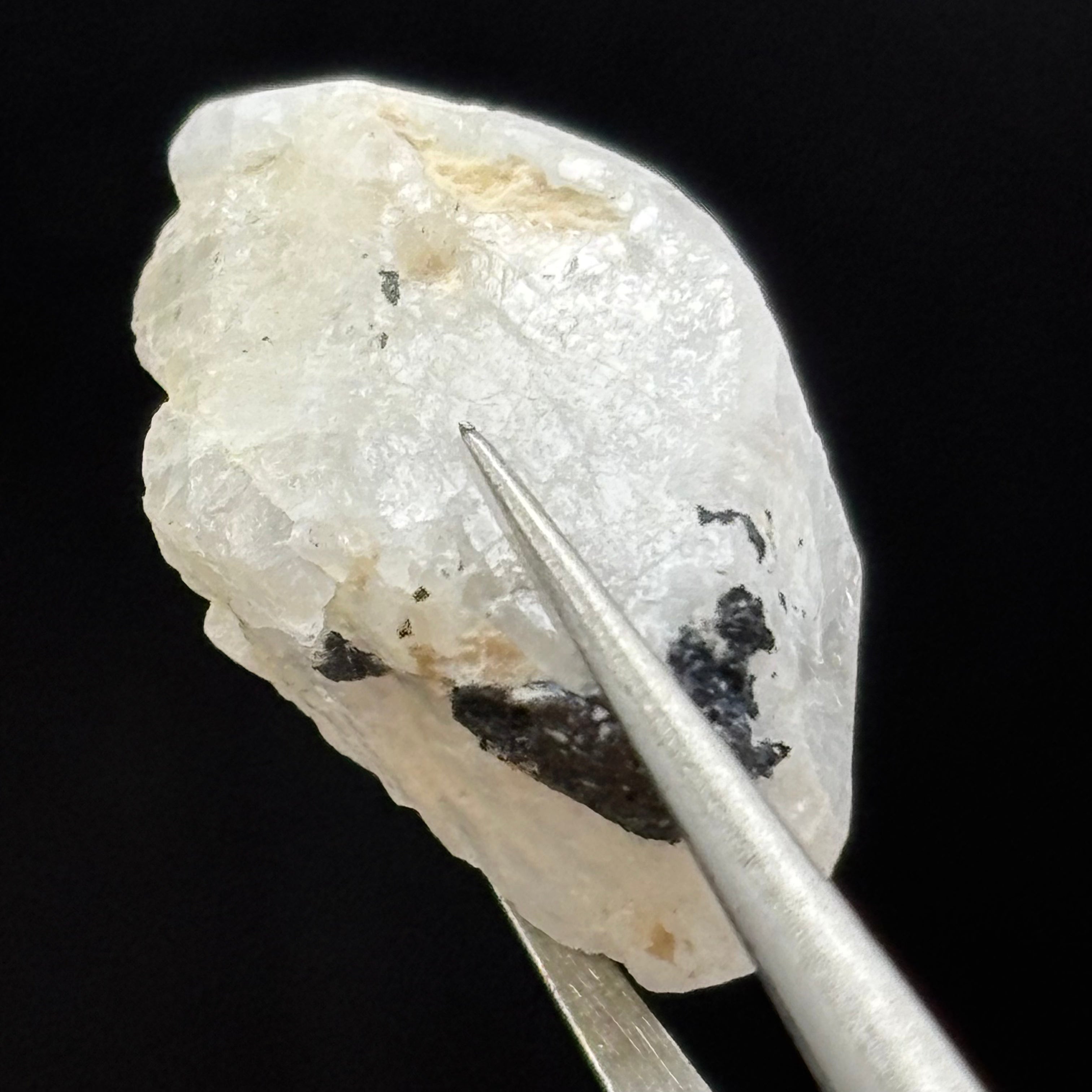 Phenakite Natural Crystal - 034