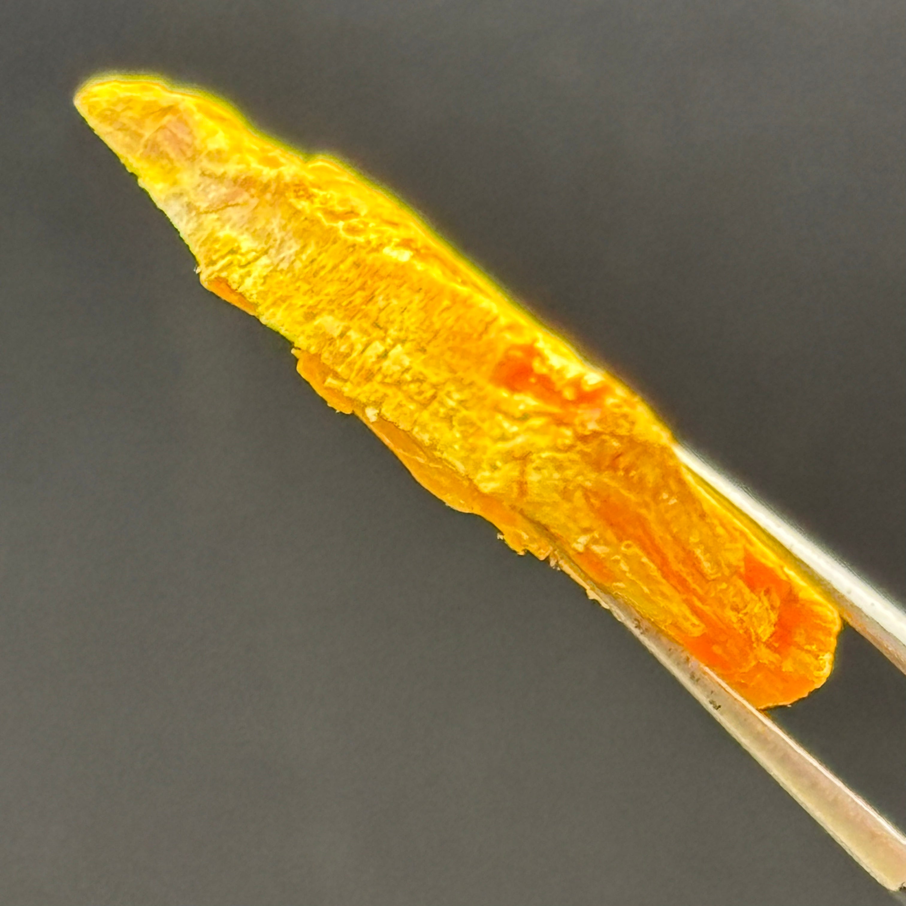 Siberian Orpiment