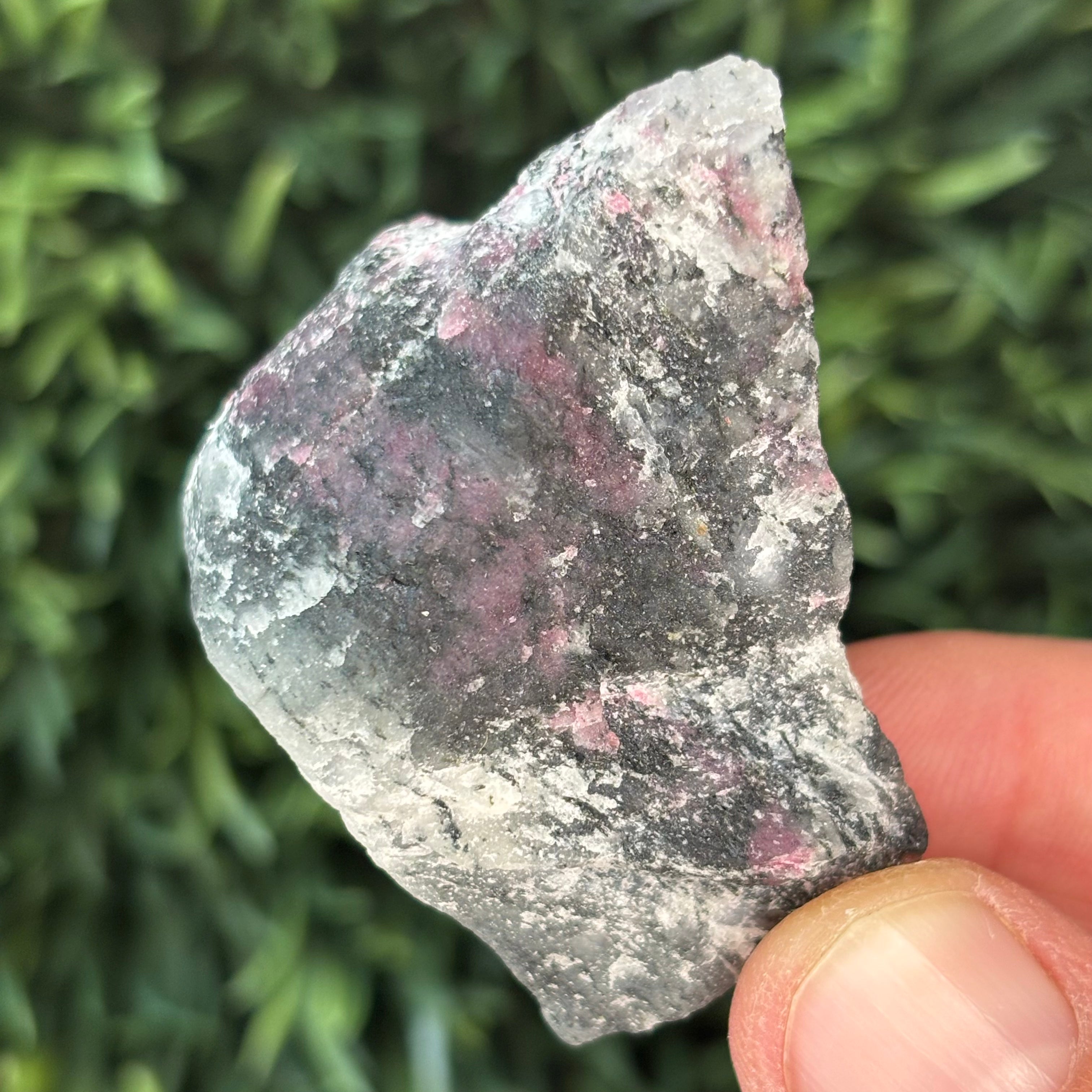 Eudialyte - 006