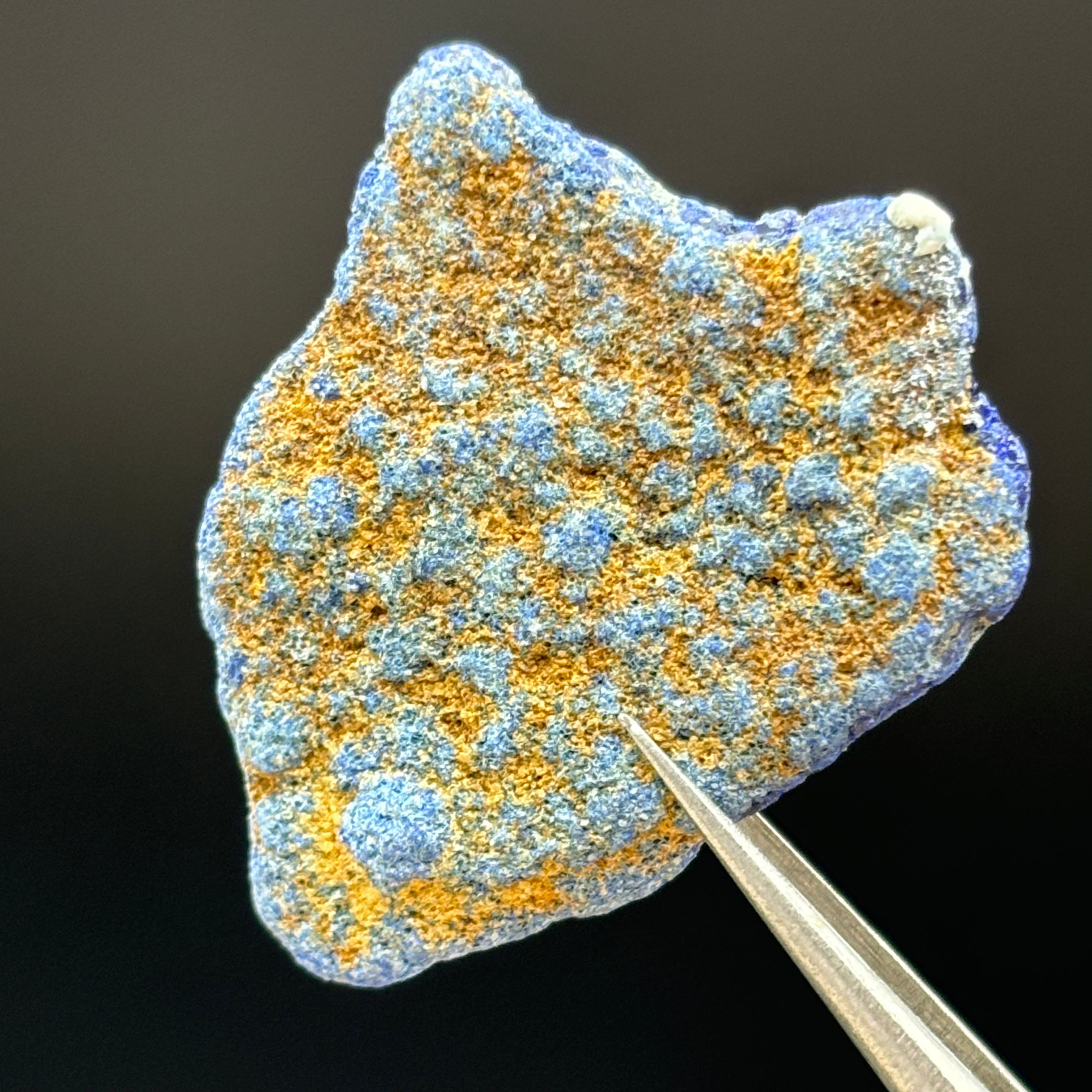 Azurite Blueberry - 057